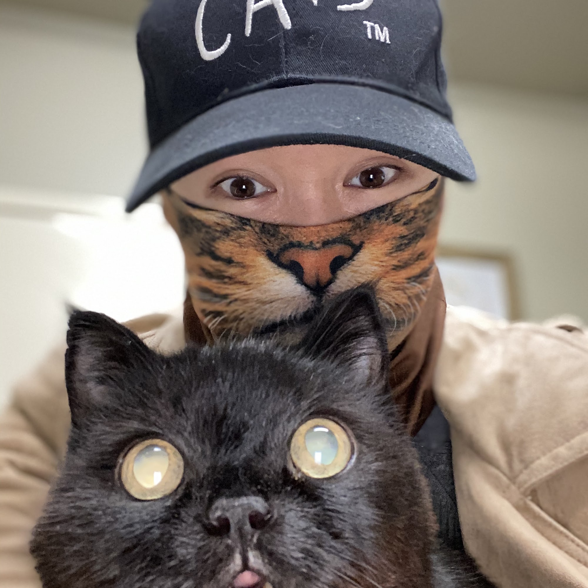 Animal Medical Center Greenville