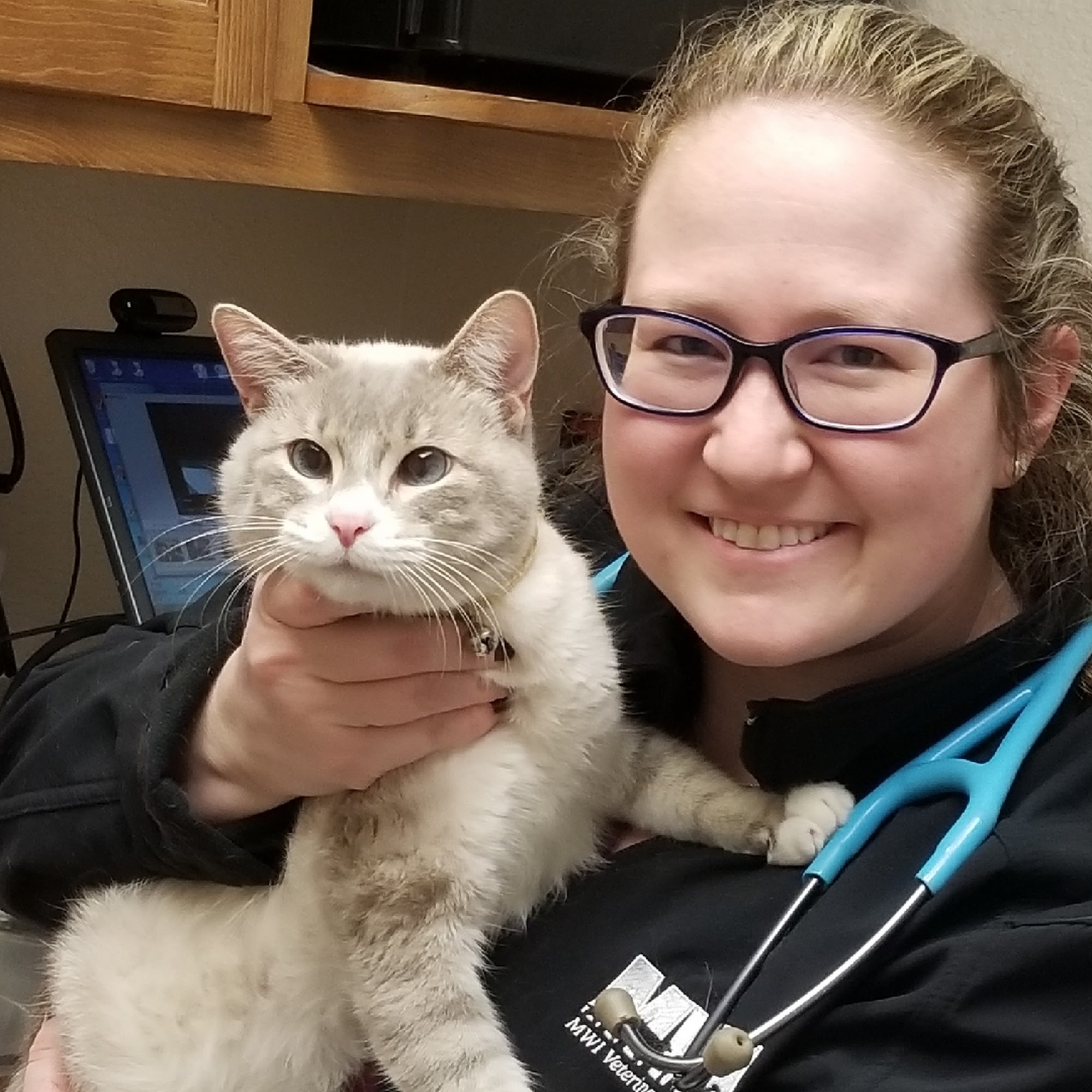 Crossroads Veterinary Clinic Greenville