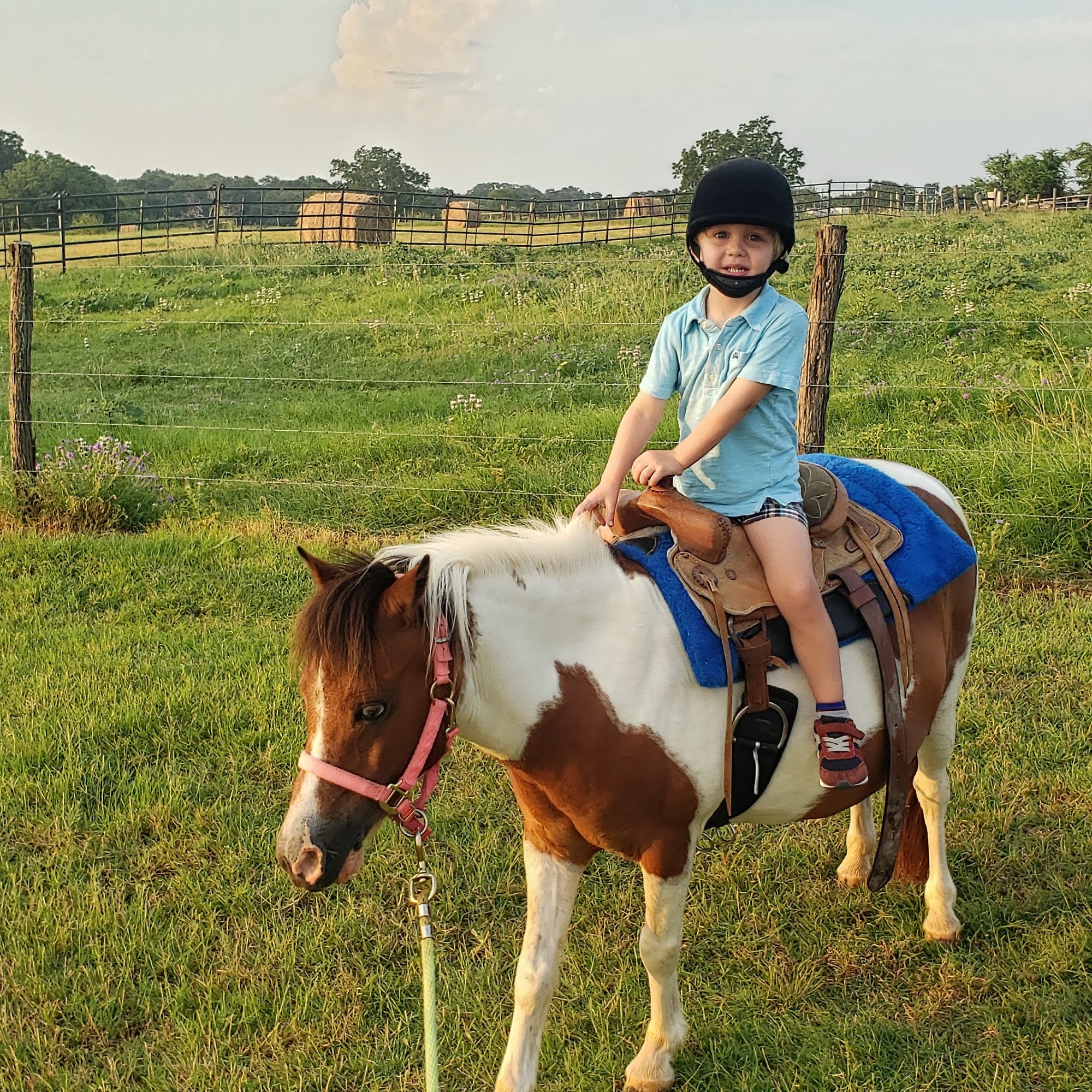 McAda Veterinary Clinic Hallettsville