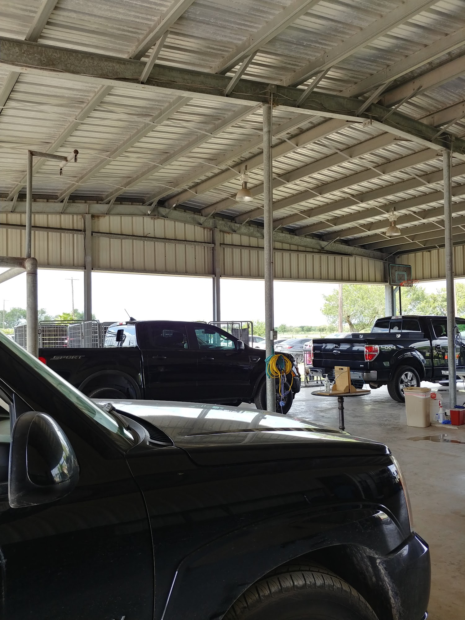 The Country Vet Harlingen