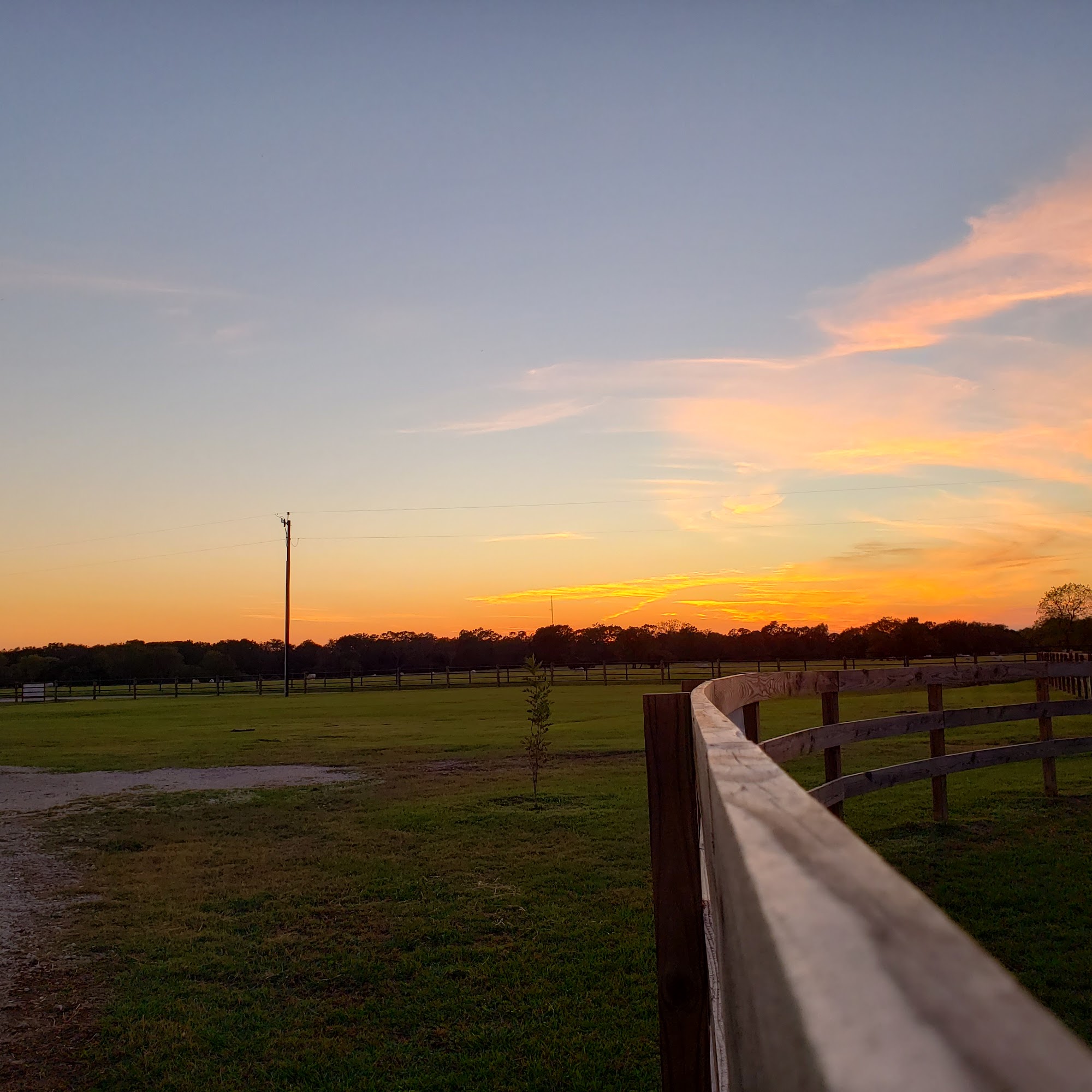 De Cillo Equine Clinic Hempstead