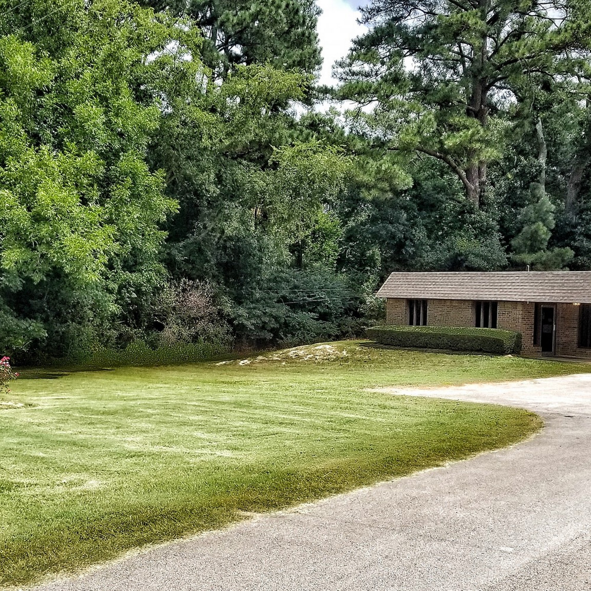 Town n Country Animal Hospital Henderson