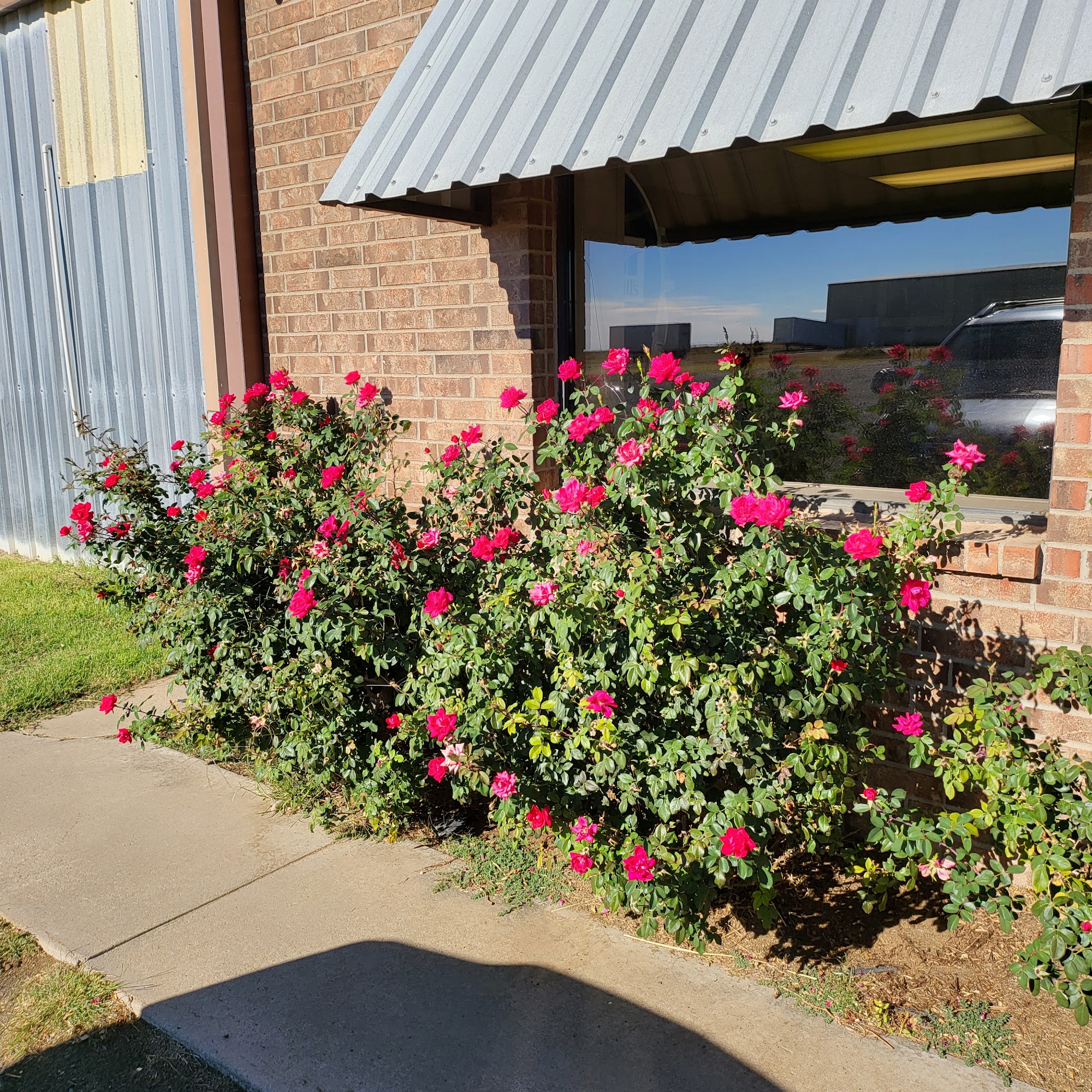 Hereford Veterinary Clinic: Mimms Mike DVM Hereford