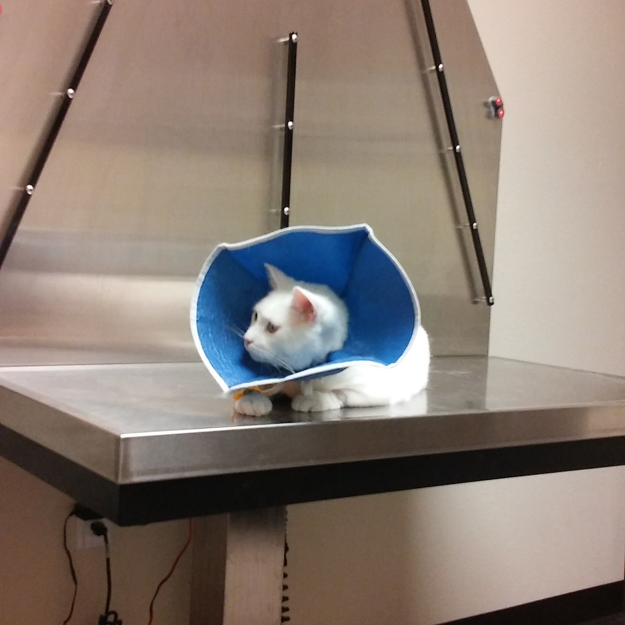 Highlands Animal Clinic Highlands