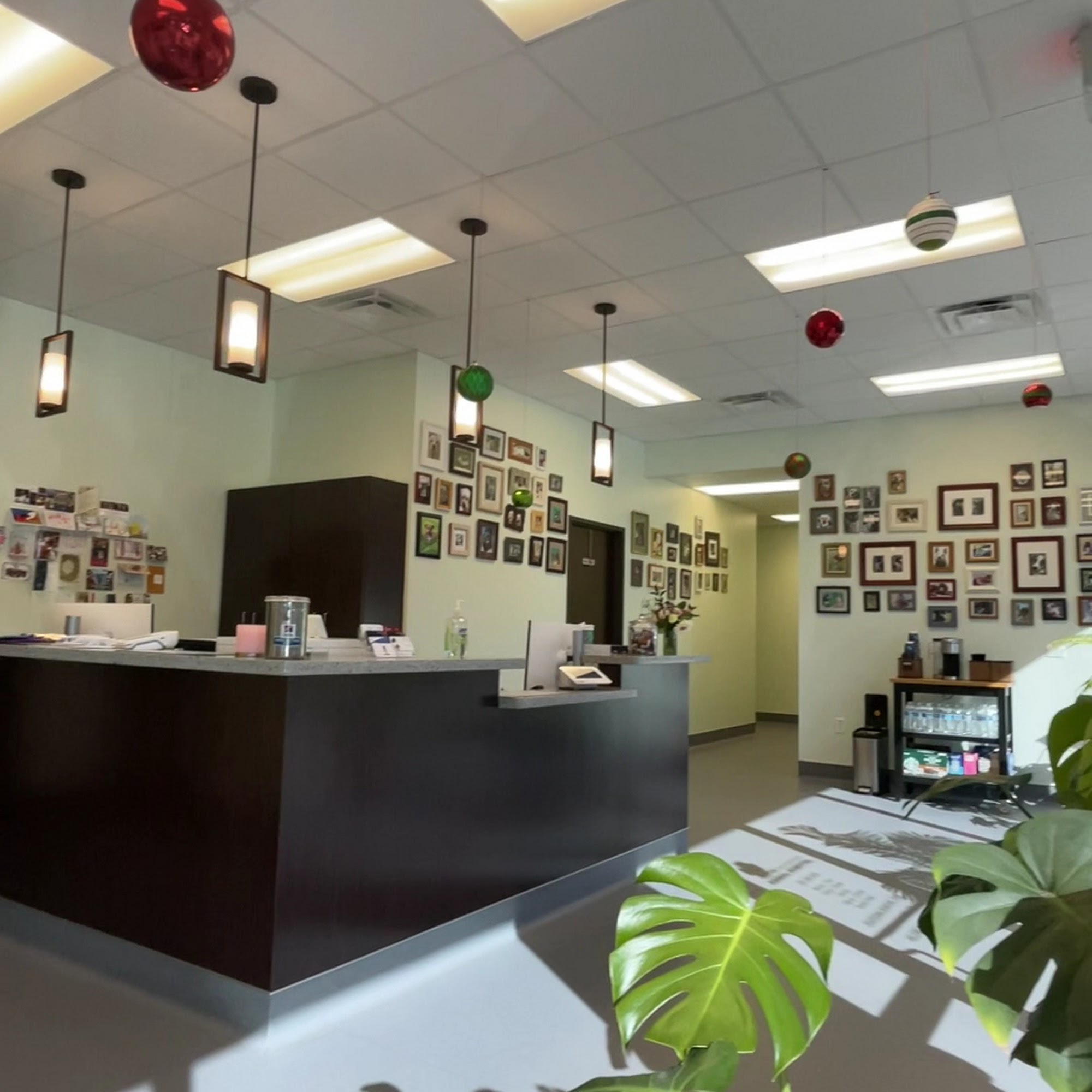 Falcon Pass Animal Hospital Houston