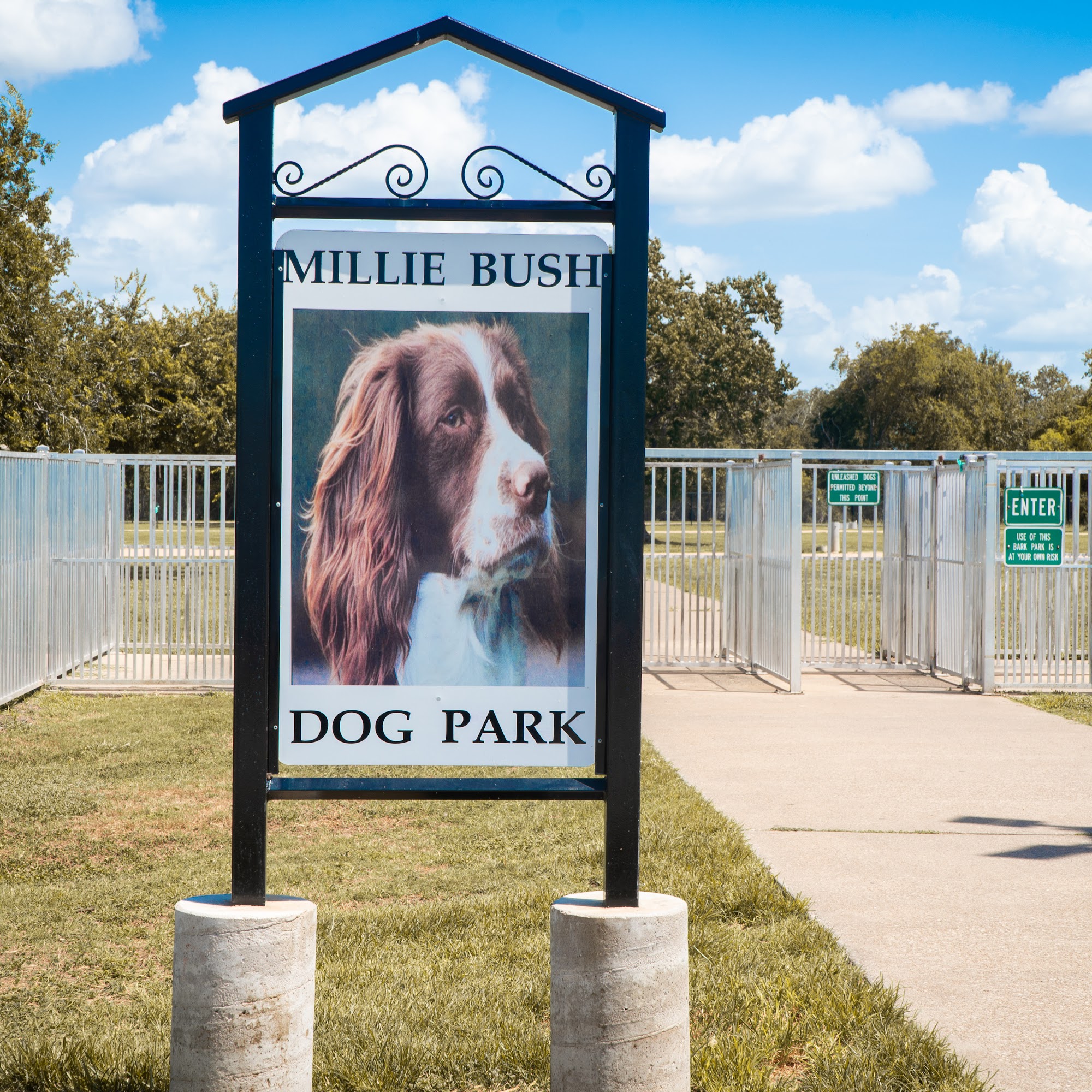 Millie Bush Dog Park Houston