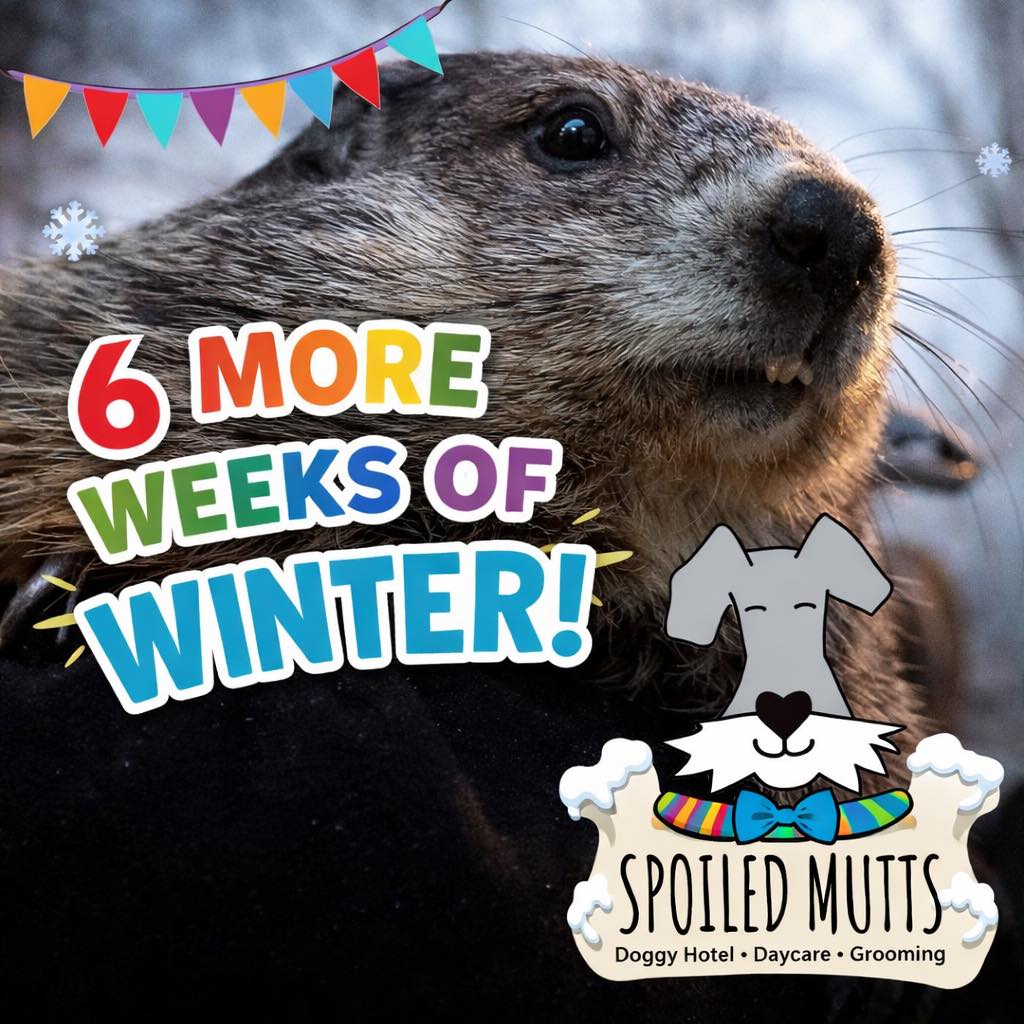 Spoiled Mutts Humble