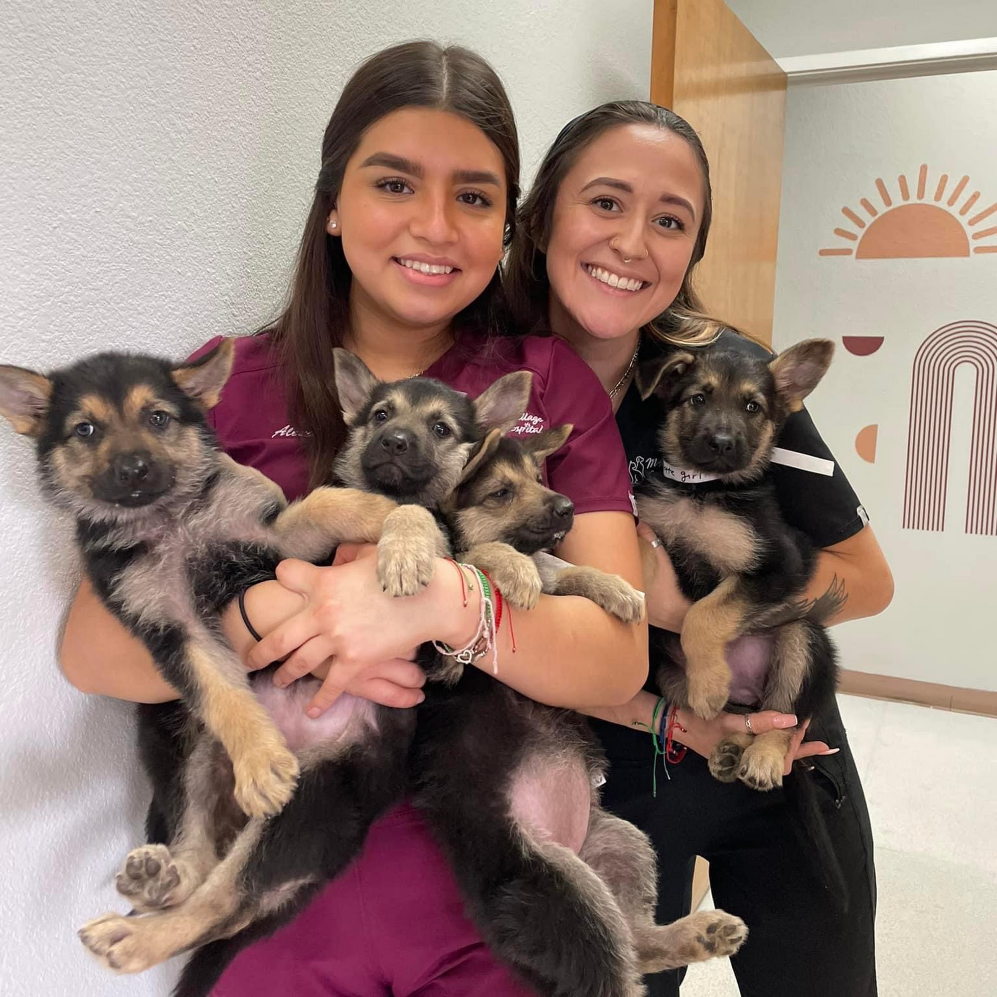 Mayfair Village Animal Hospital Hurst