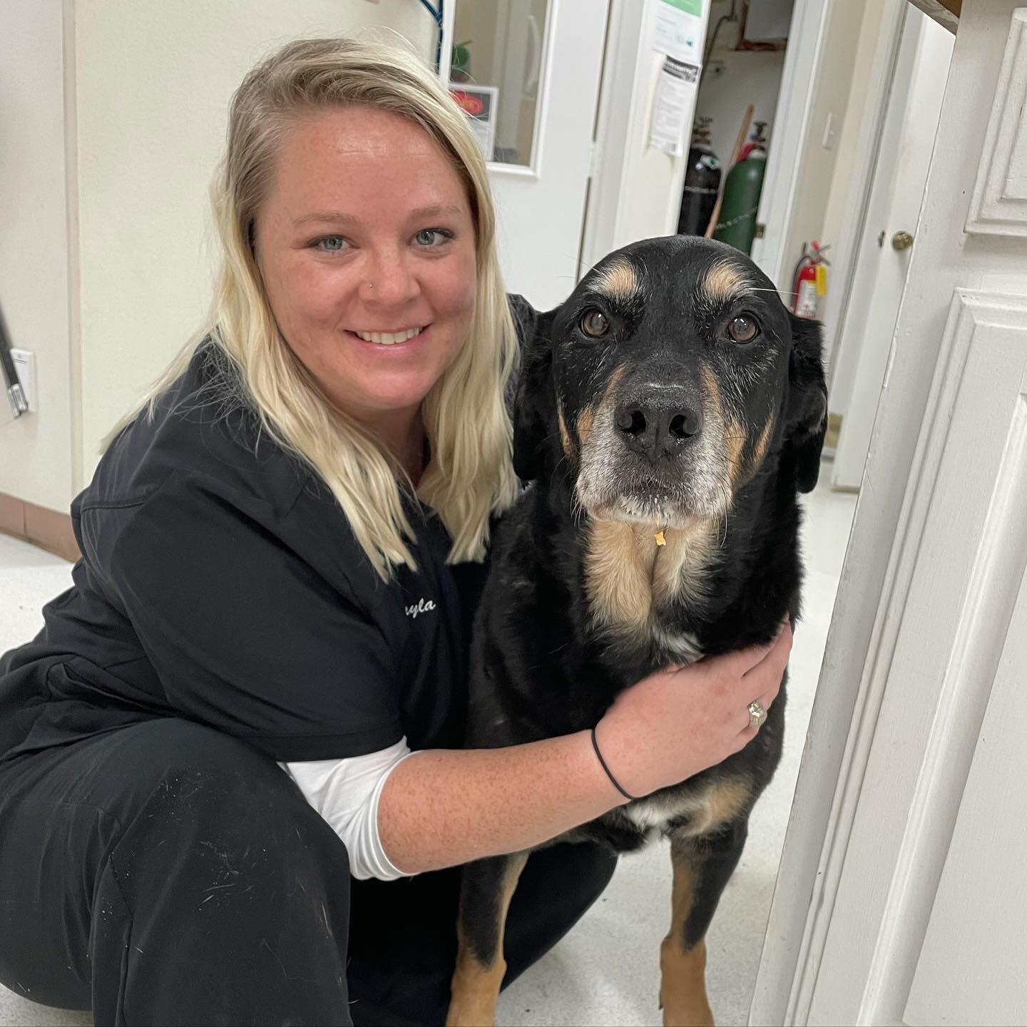 Mayfair Village Animal Hospital Hurst