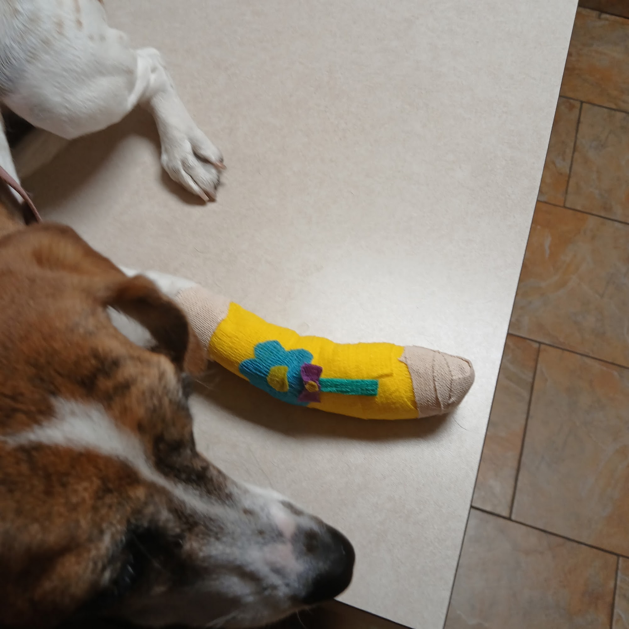 FM 685 Animal Hospital Hutto