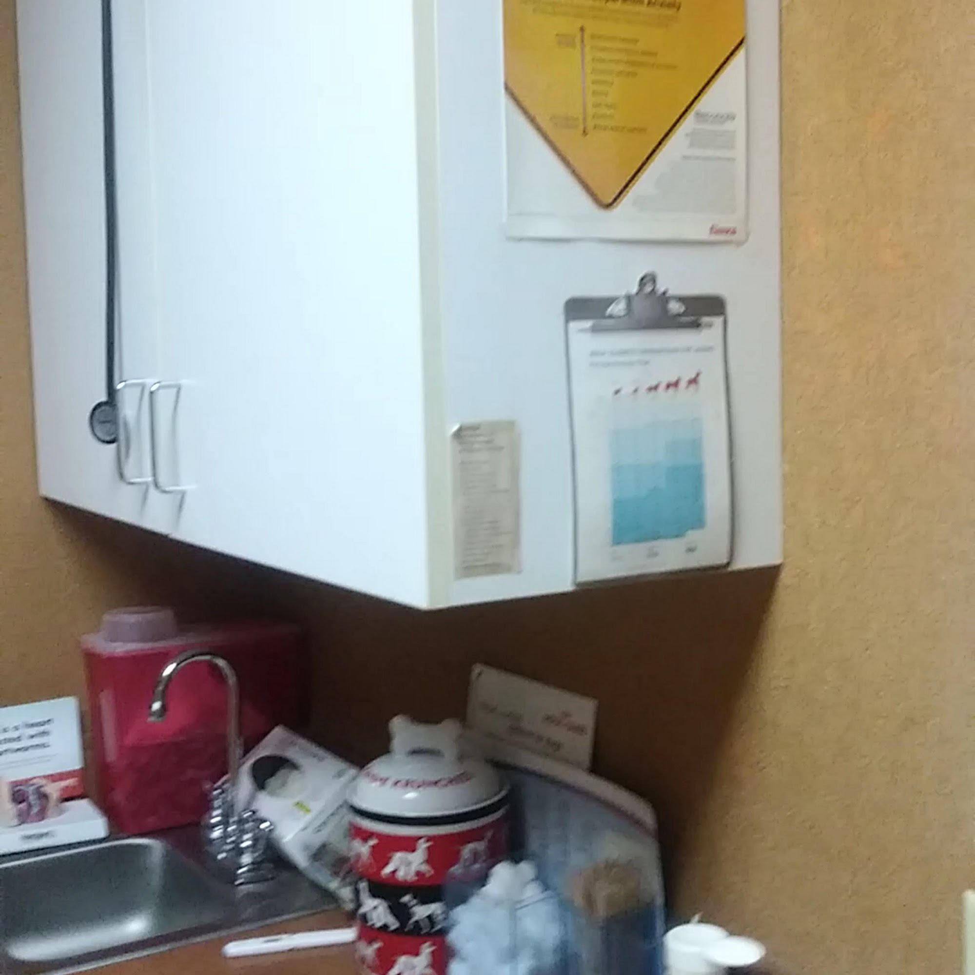 Animal Hospital Of Valley Ranch Irving