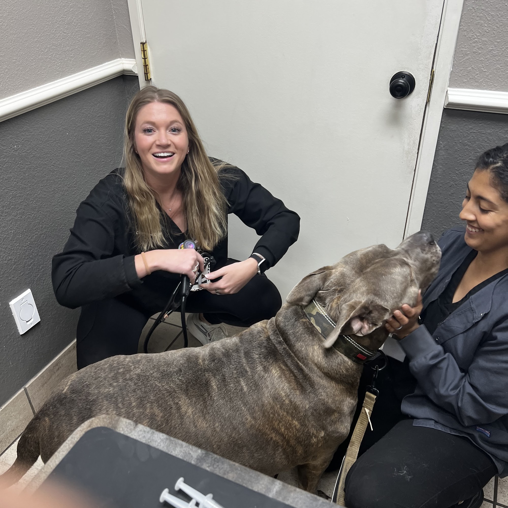 Valley Ranch Pet Clinic Irving