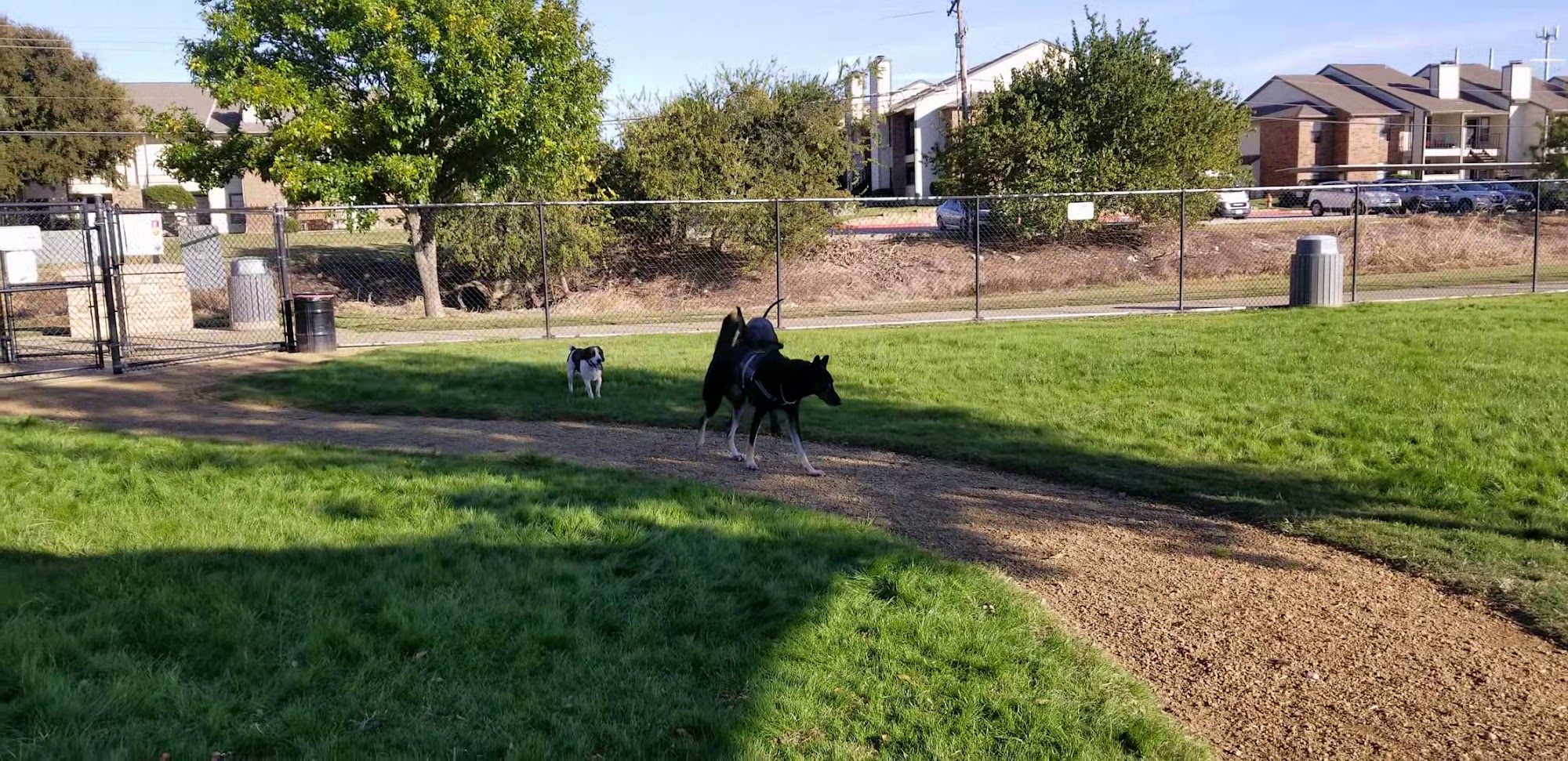 Irving Dog Park Irving