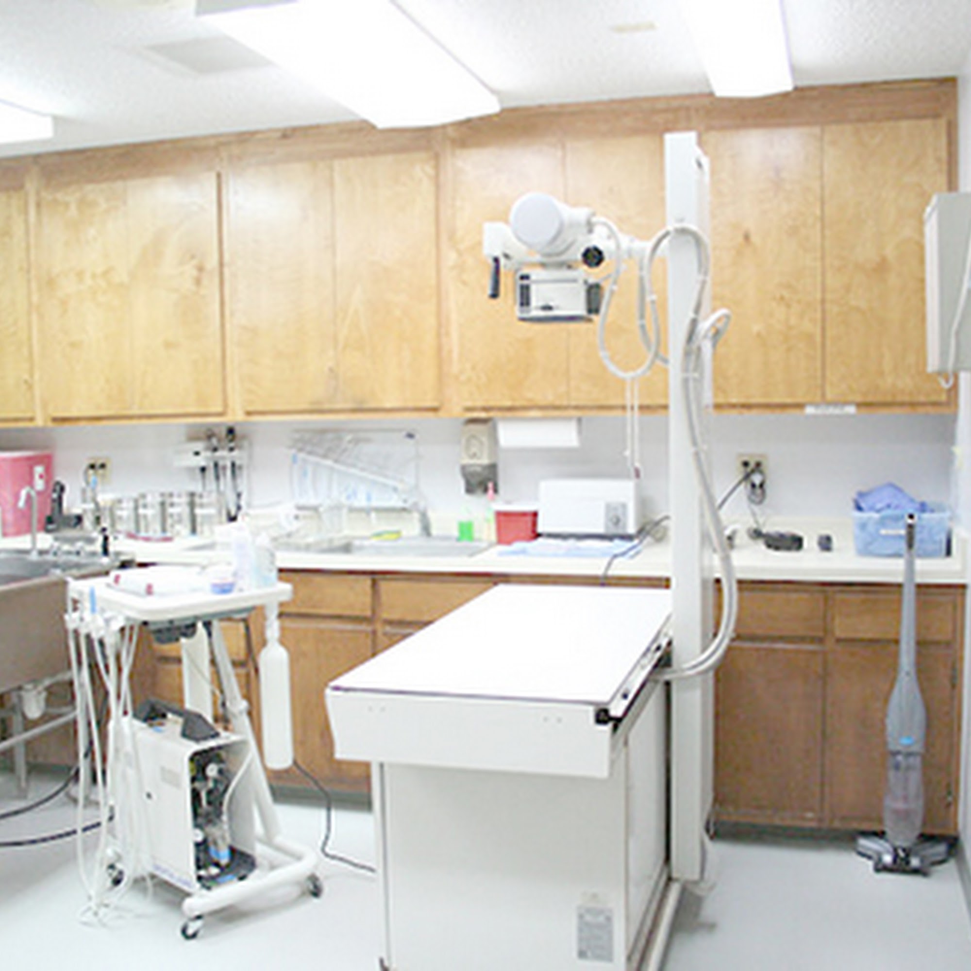 Chaparral Veterinary Center, P.C. Jourdanton