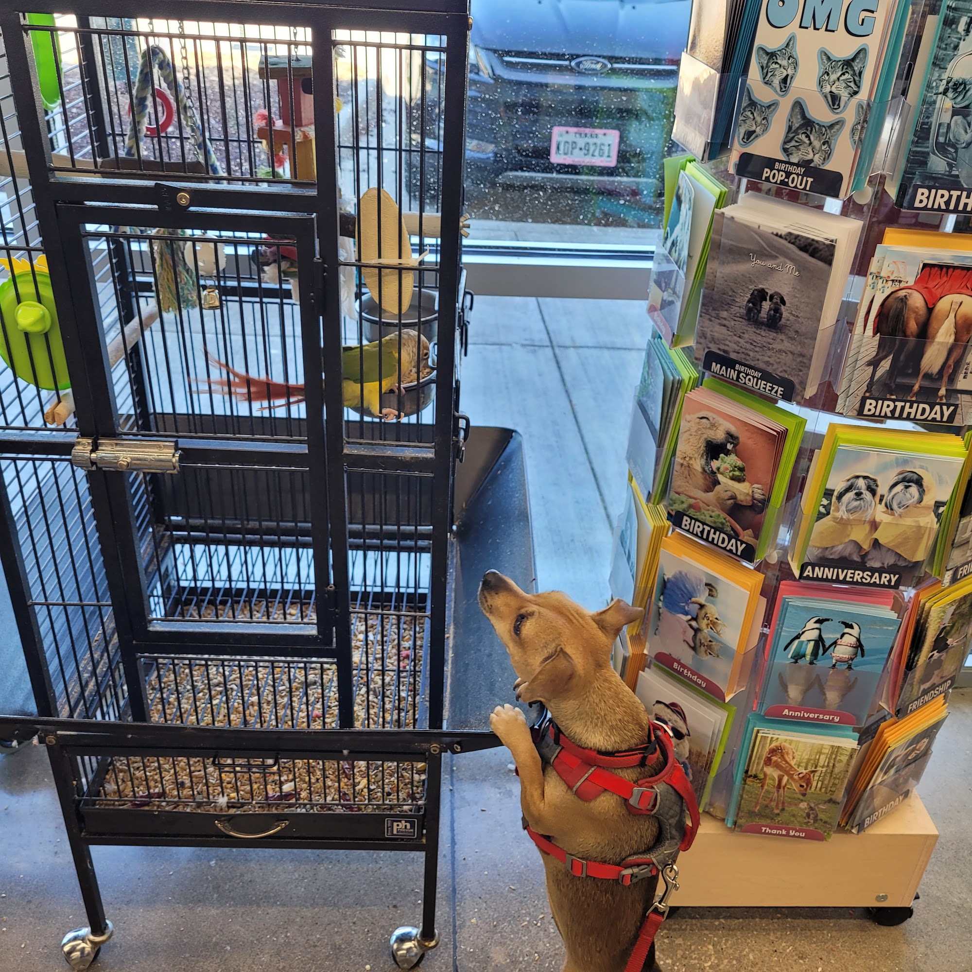 Pet Supplies Plus Katy East Katy