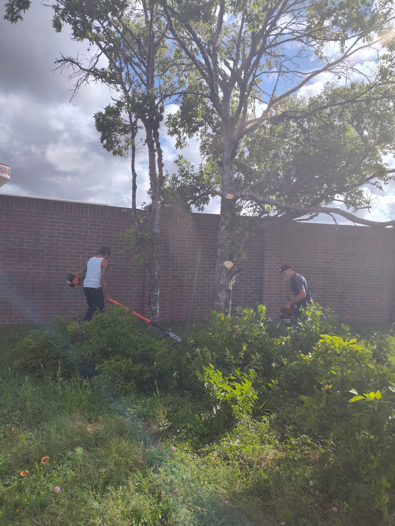 Fry Road Animal Clinic Katy