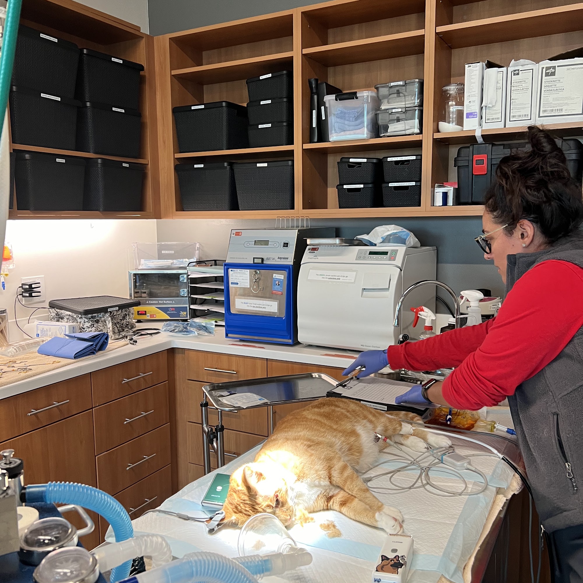 Cinco Animal Hospital Katy