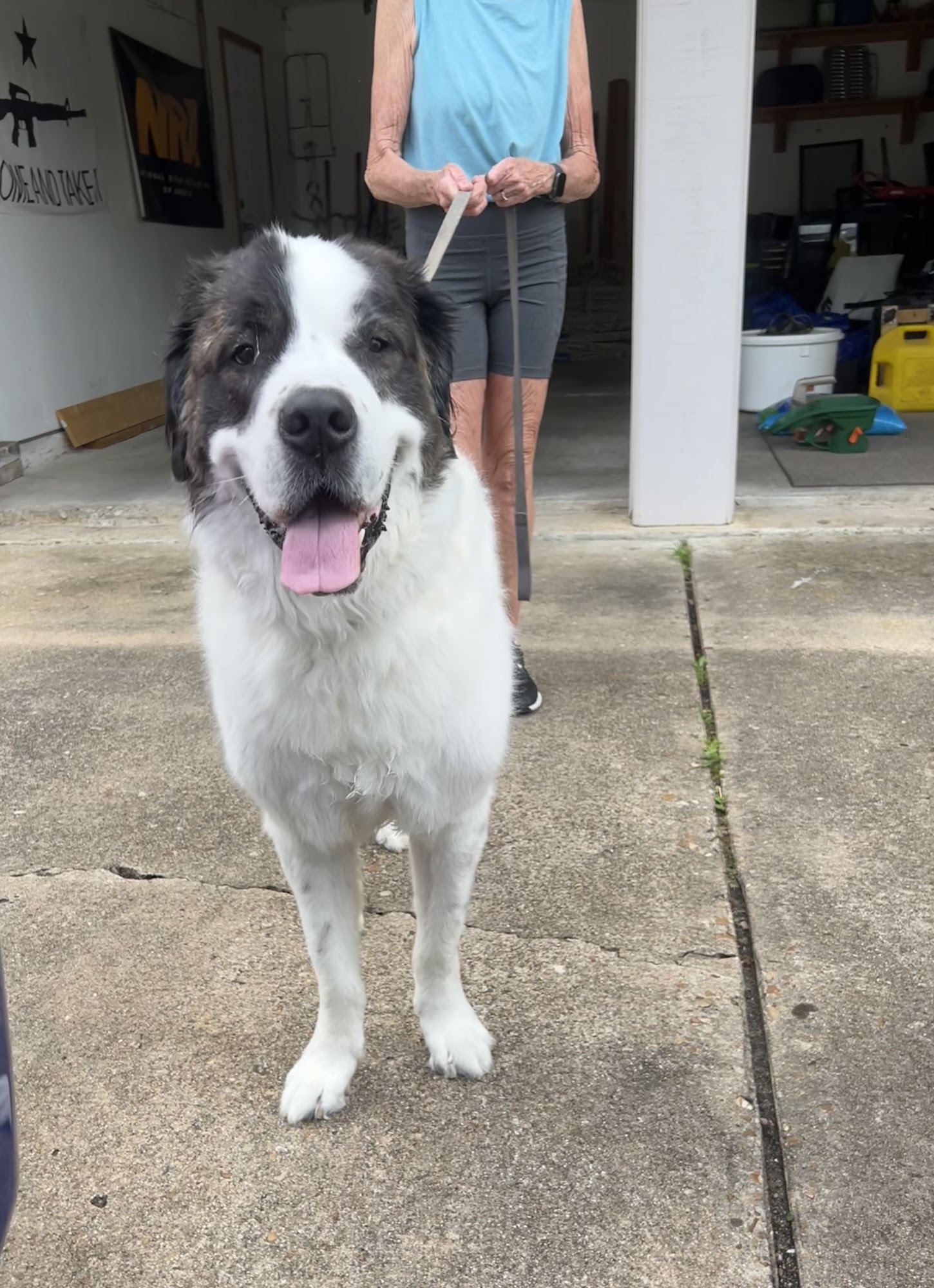 Cinco Ranch Veterinary Hospital Katy