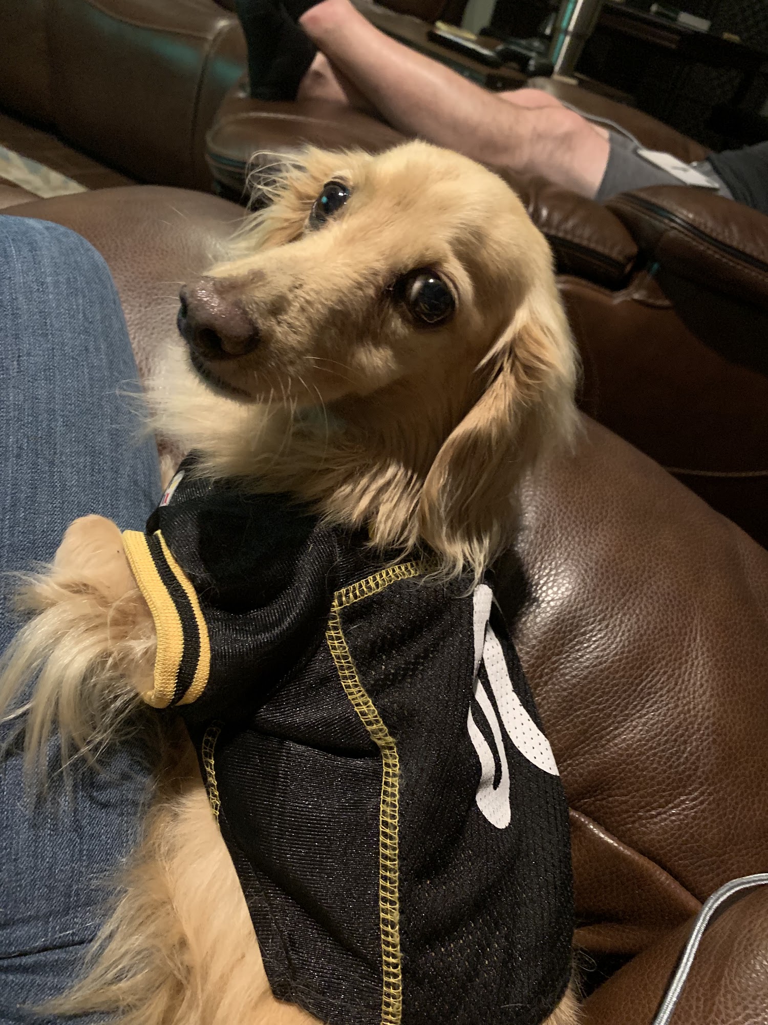 Highland Knolls Veterinary Hospital Katy