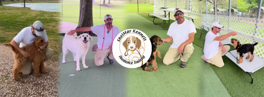 Shelmar Kennels Katy