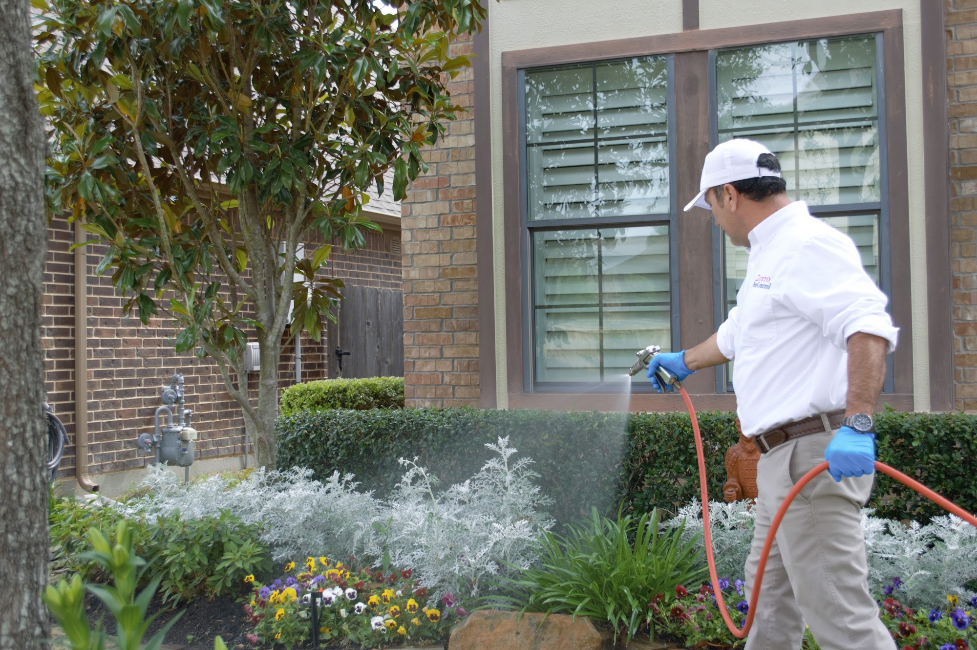 Zorro Pest Control