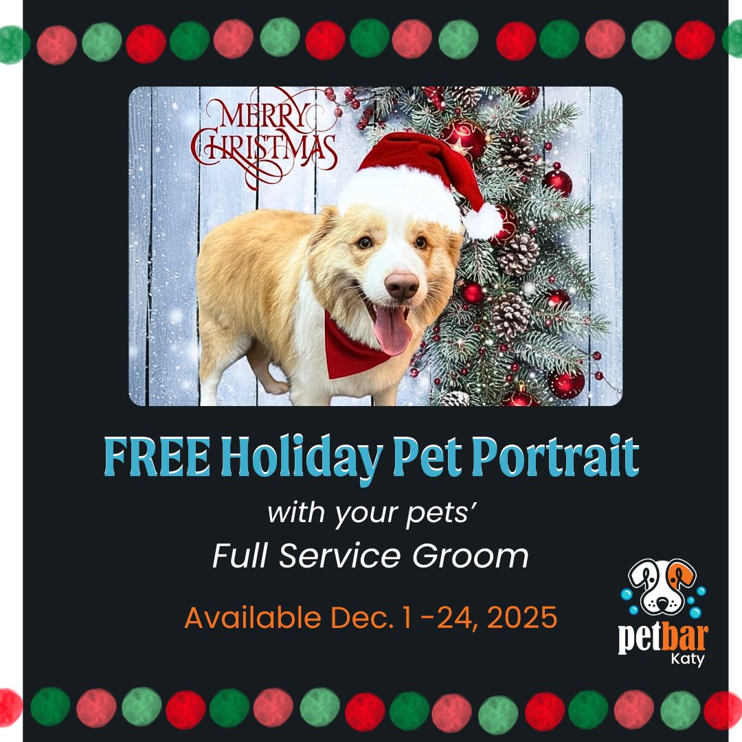 petbar Boutique Katy Katy