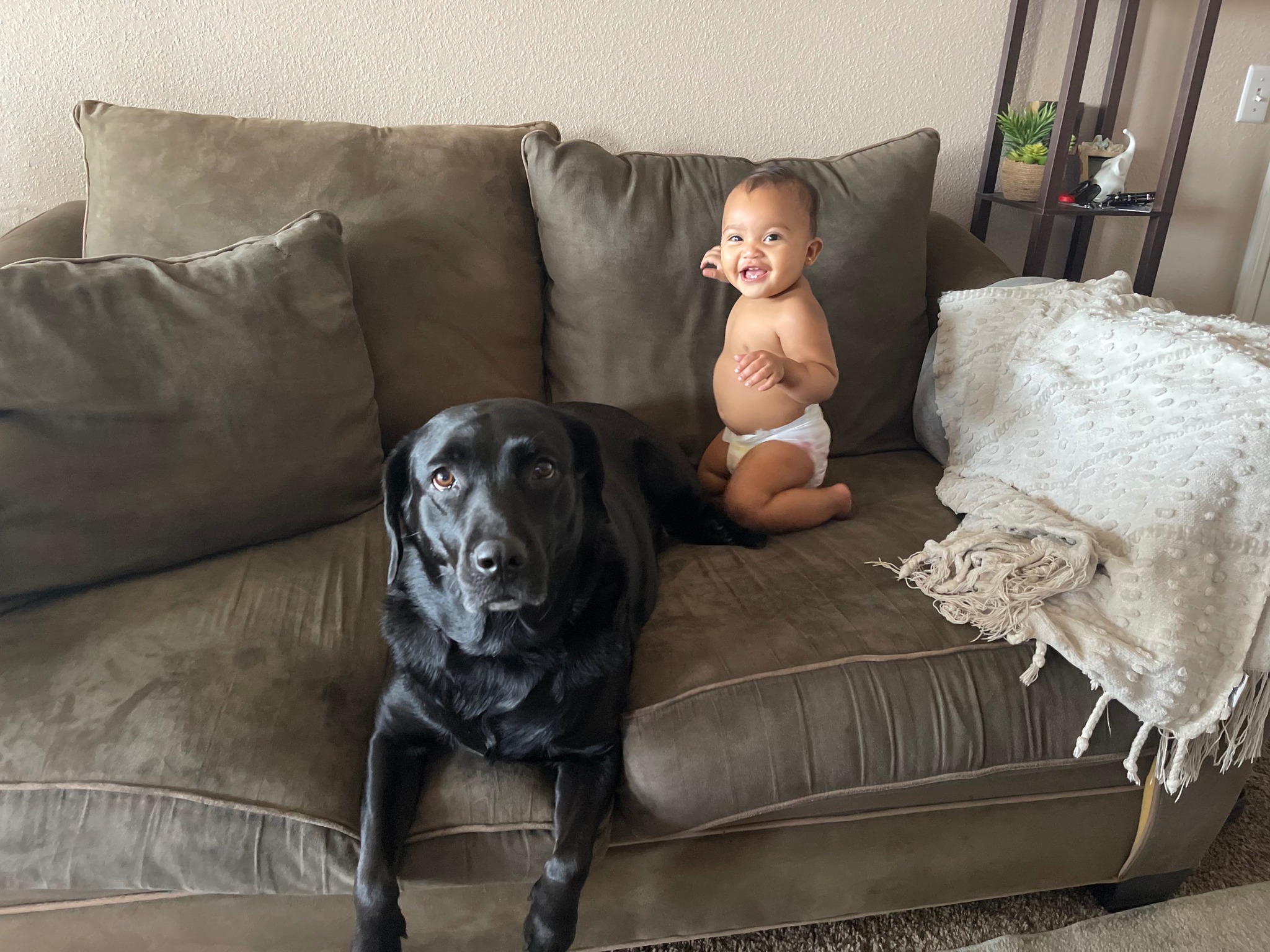 Canine Initiative Training Katy