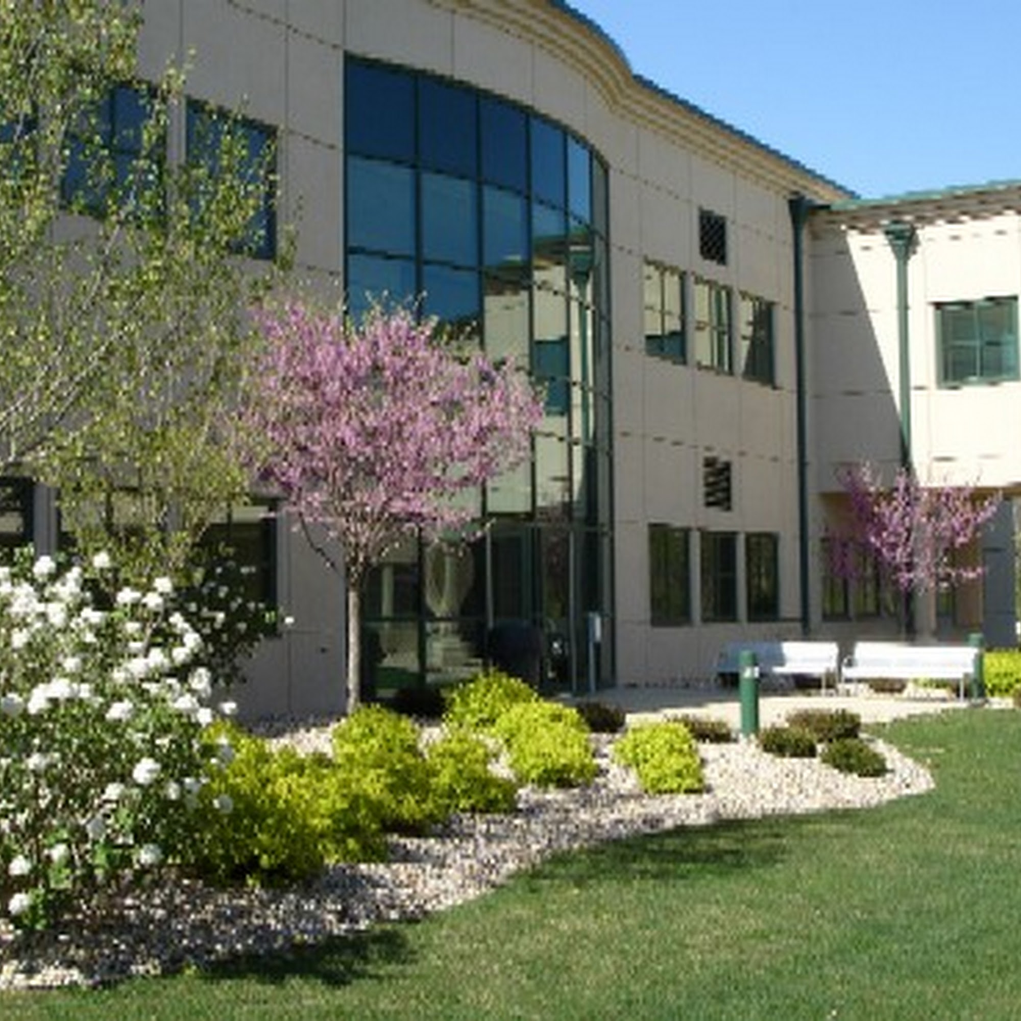 New Leaf Landscaping