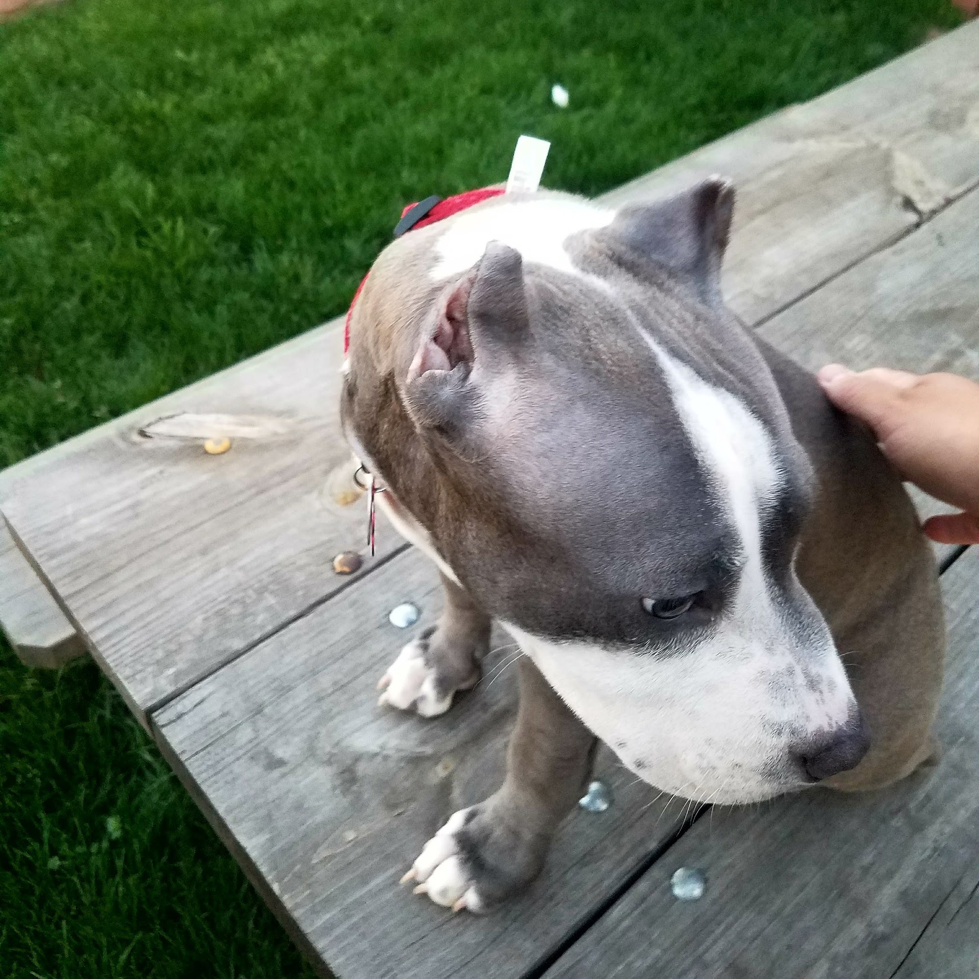 Kaufman Veterinary Center Kaufman