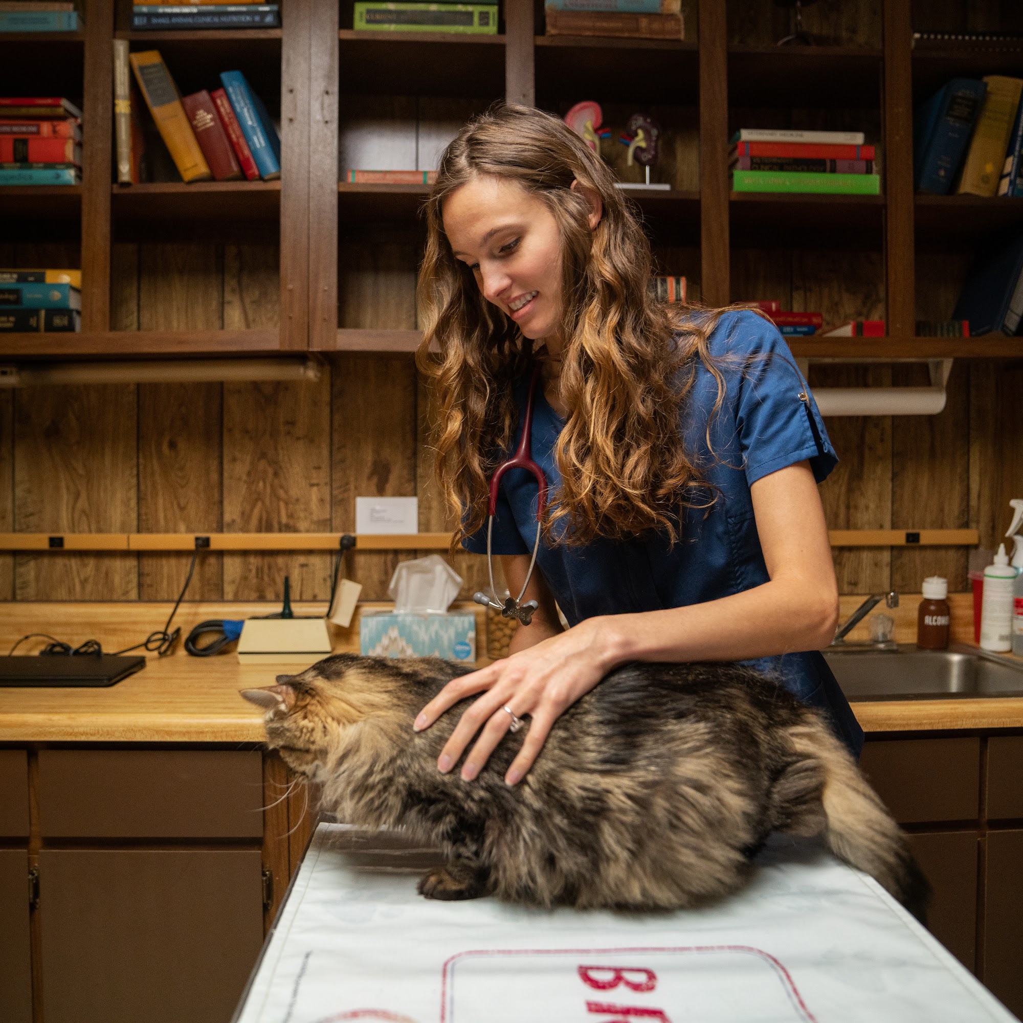 Keller Animal Clinic Keller