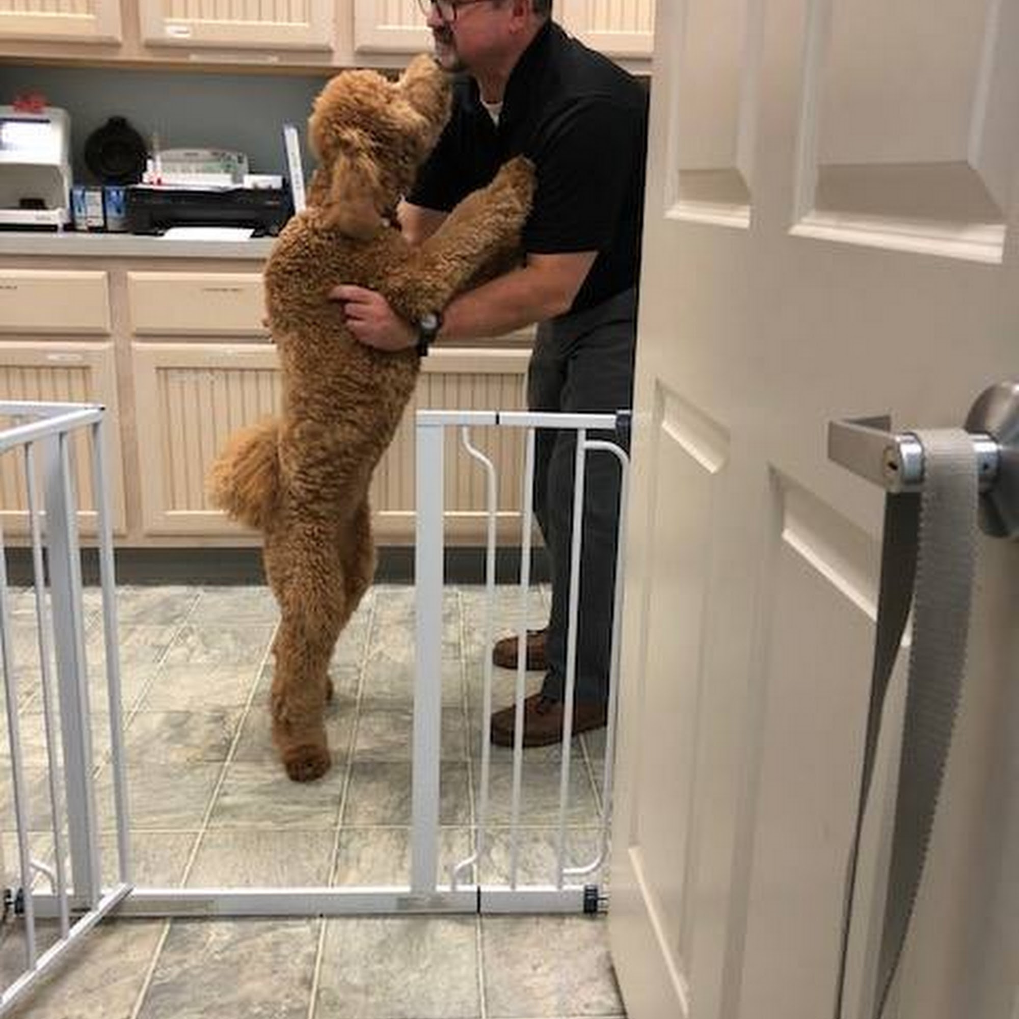 Bayside Animal Hospital | Kemah, TX Kemah