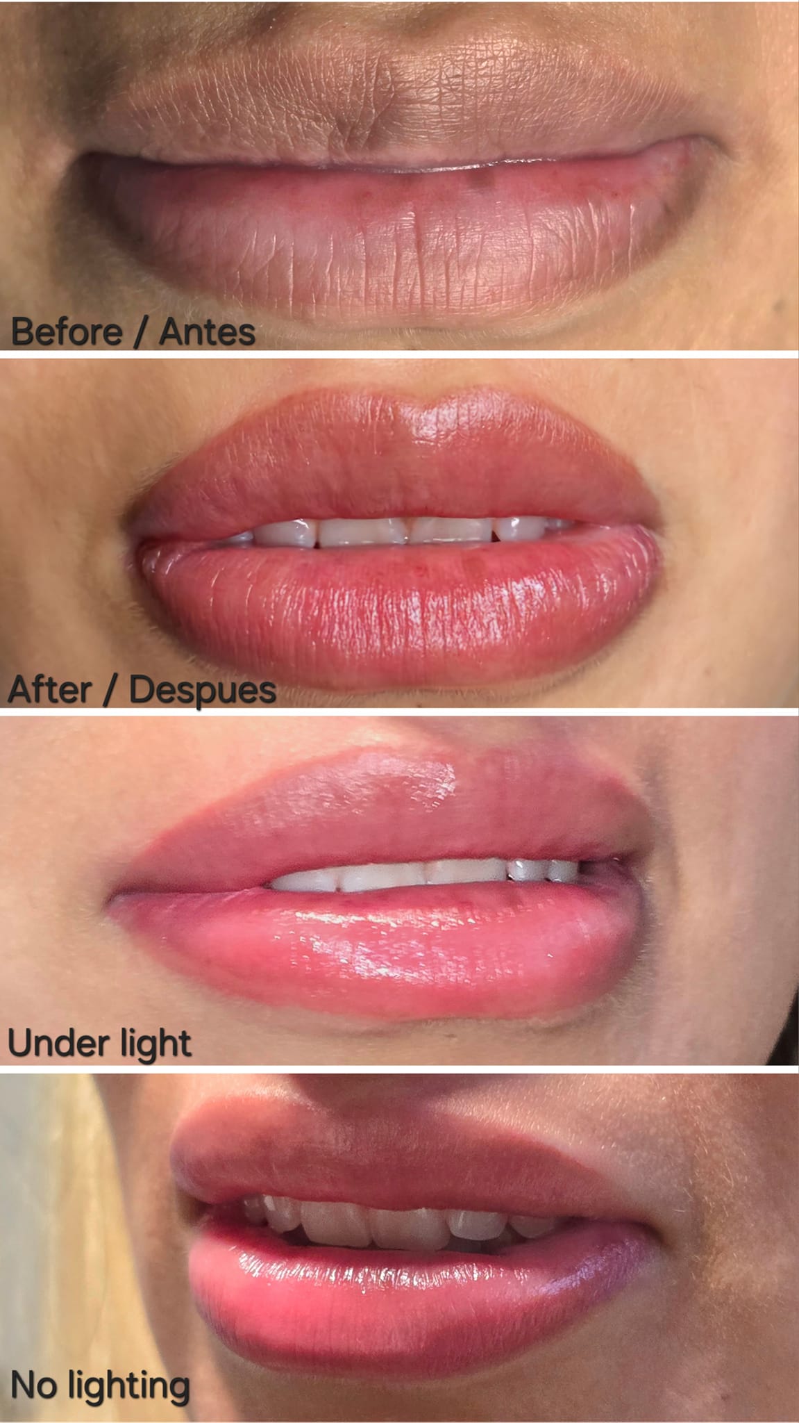The Perfect Image Beauty Bar