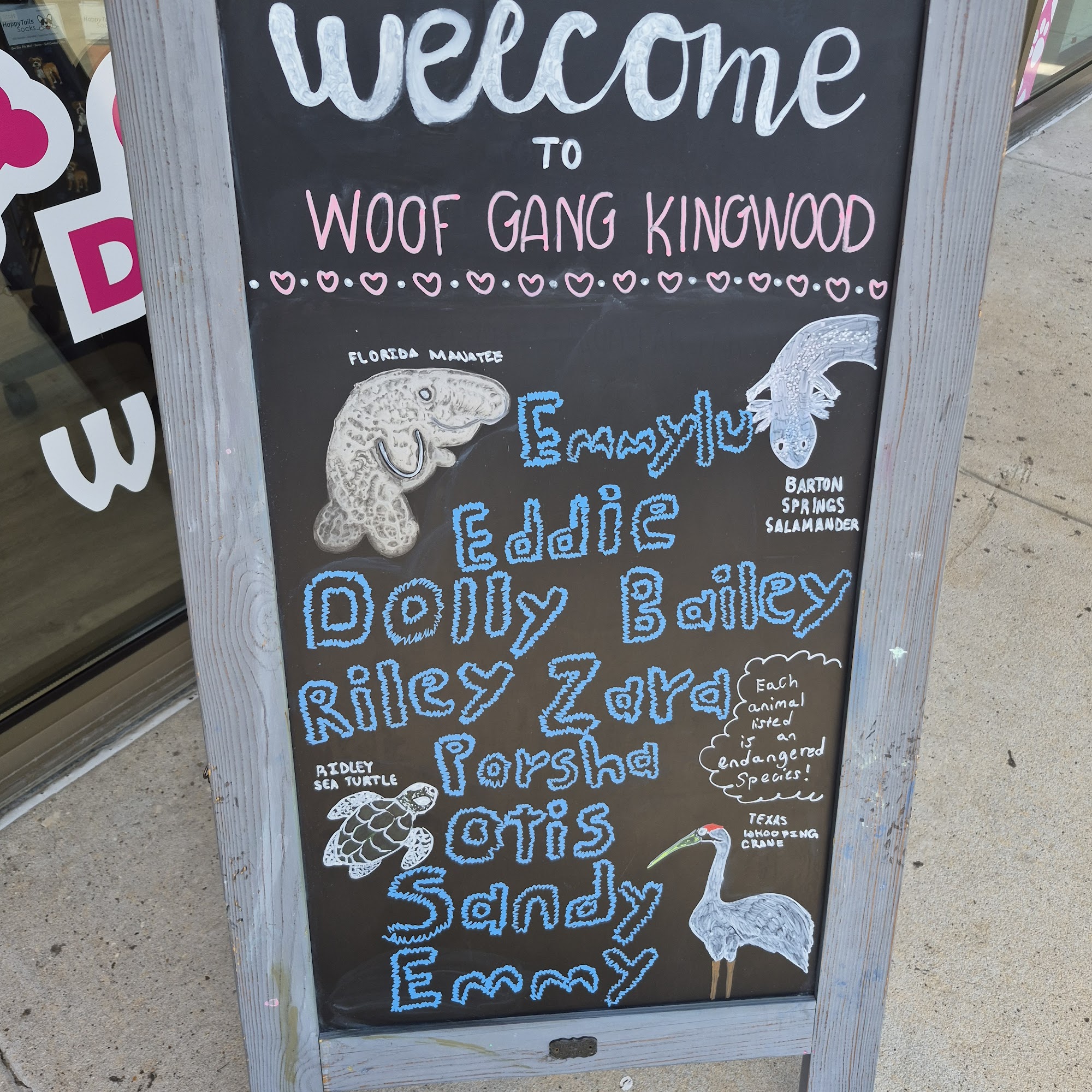 Woof Gang Bakery & Grooming Kingwood 4525 Kingwood Dr #120, Kingwood Texas 77345