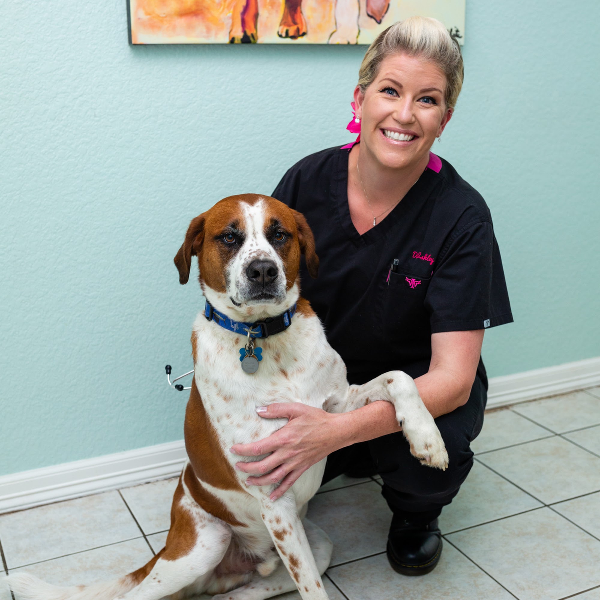 Brazos Woods Veterinary Clinic Lake Jackson