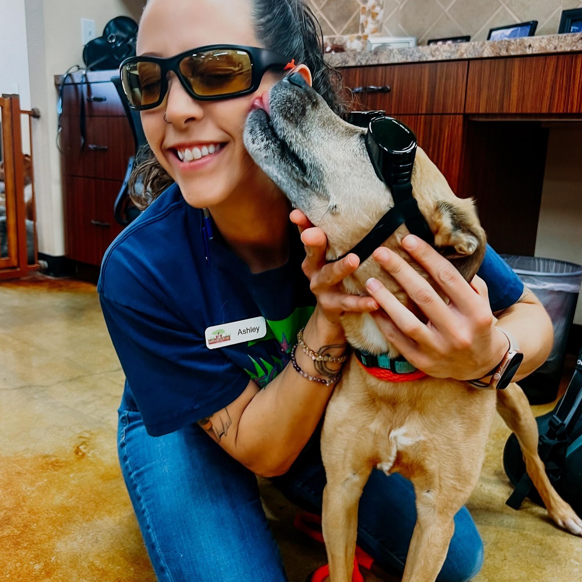 Pecan Acres Pet Care Lake Jackson