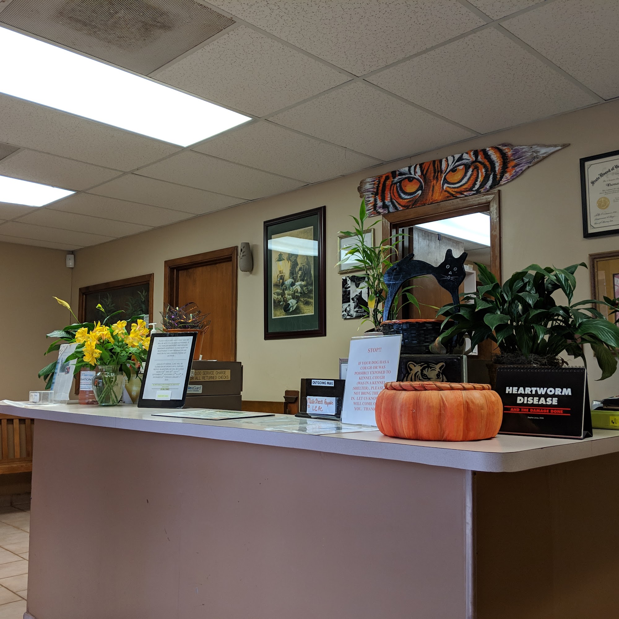 League City Animal Clinic League City