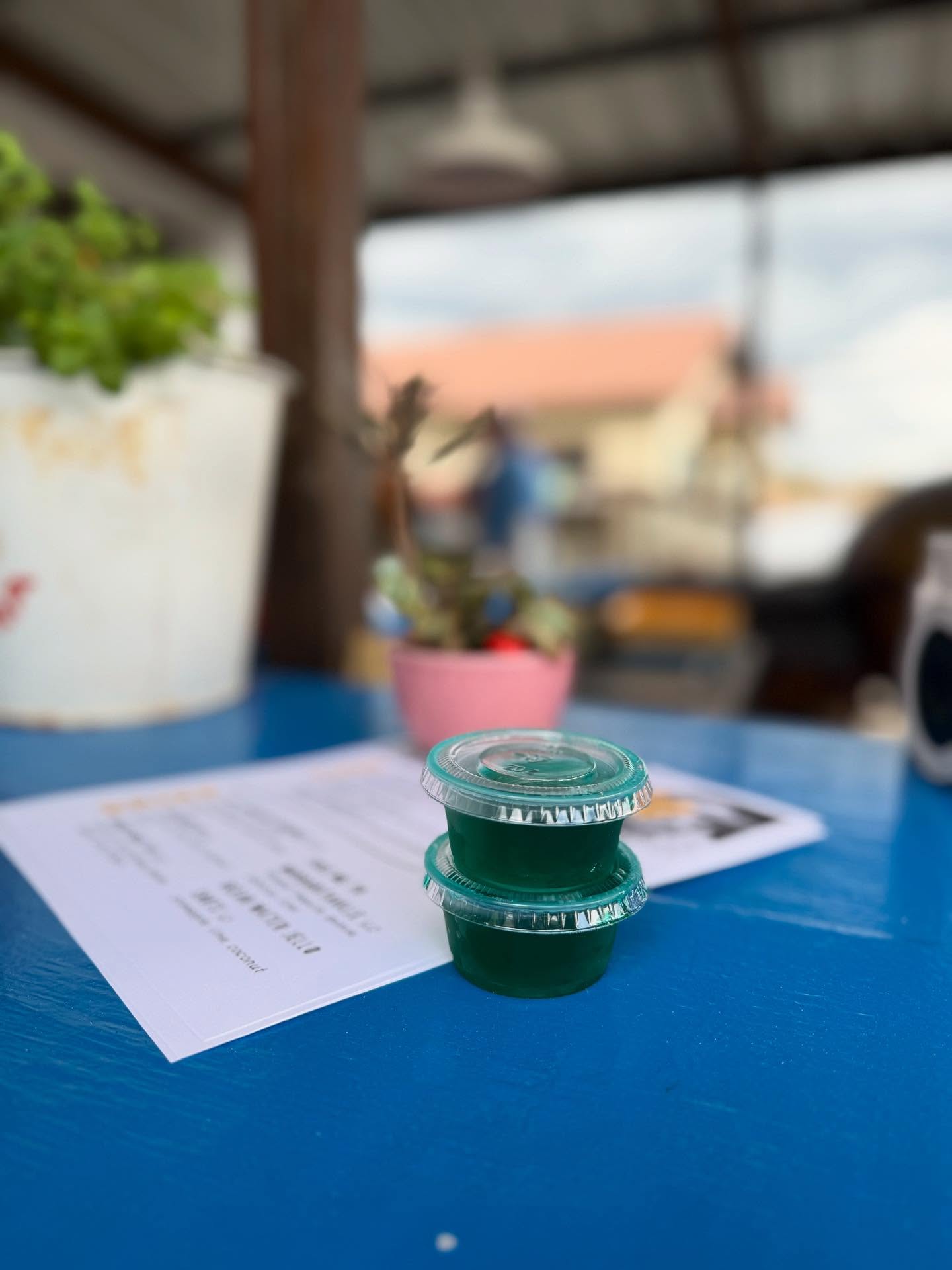 Gypsy Sally's Leakey