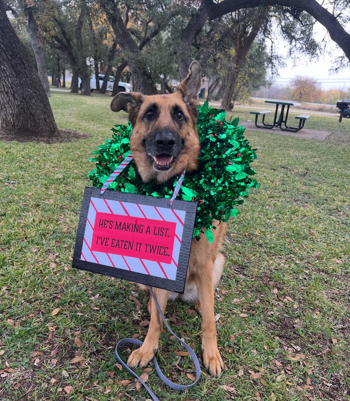 Precision K9 Work Leander