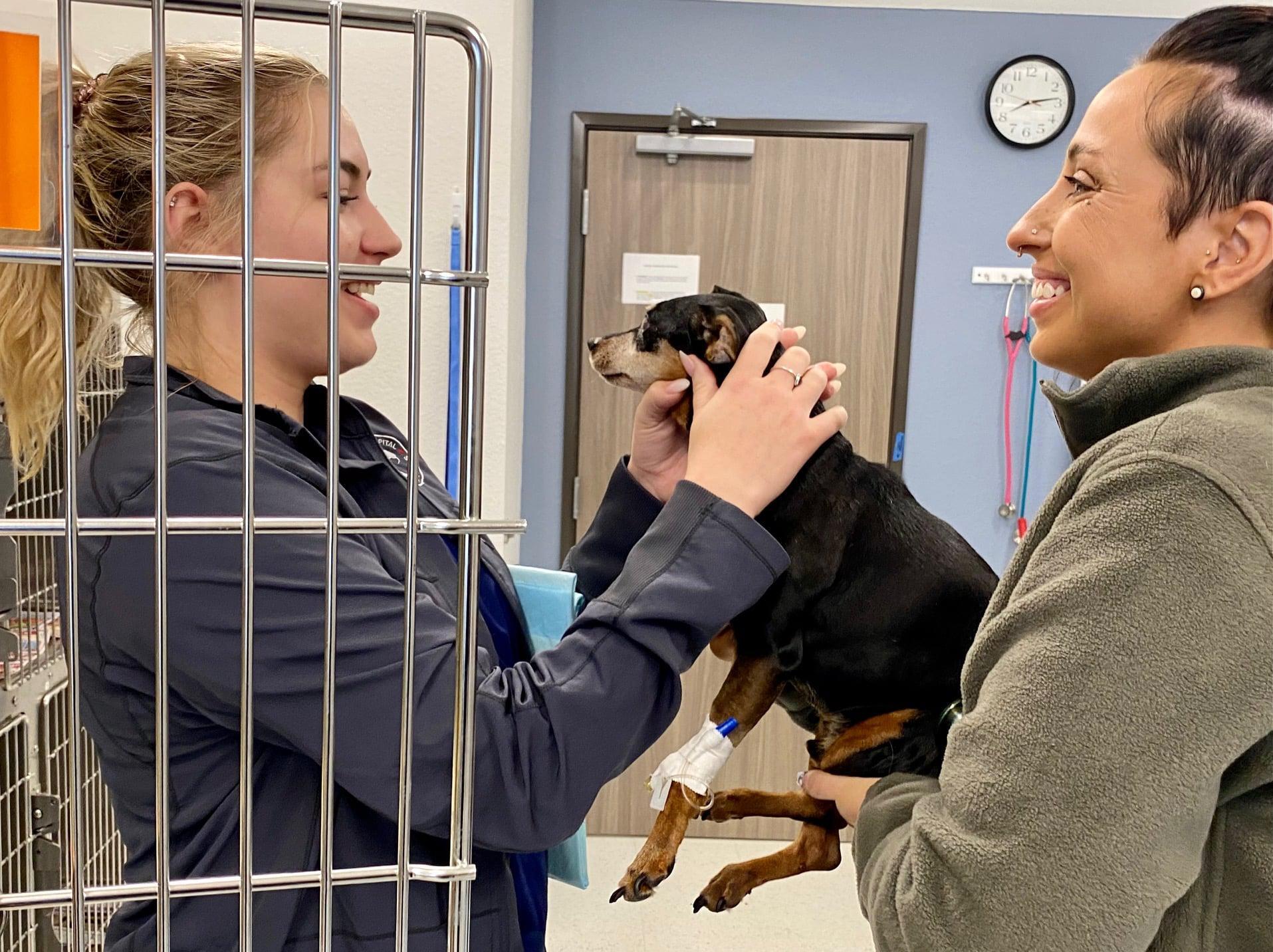 Emergency Animal Hospital of Crystal Falls Leander