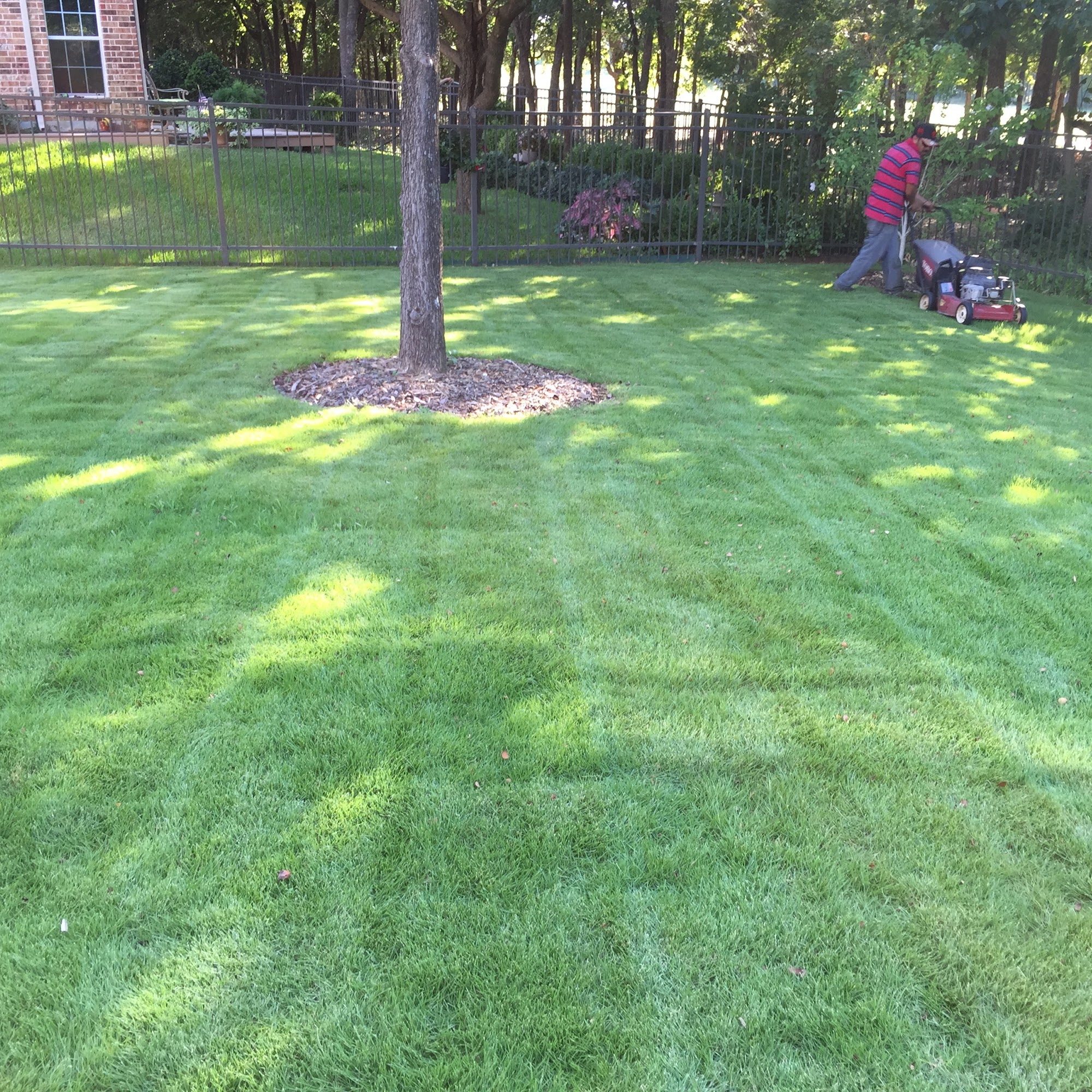 Verde Lawn Services