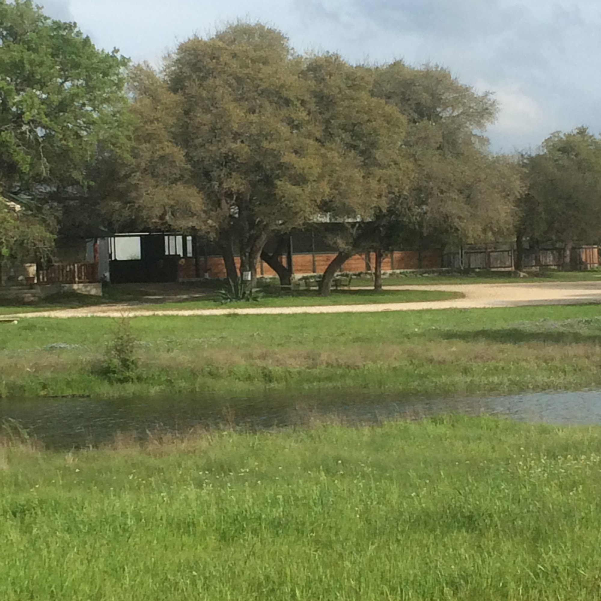 Live Oak Horse Veterinary Clinic PC Liberty Hill