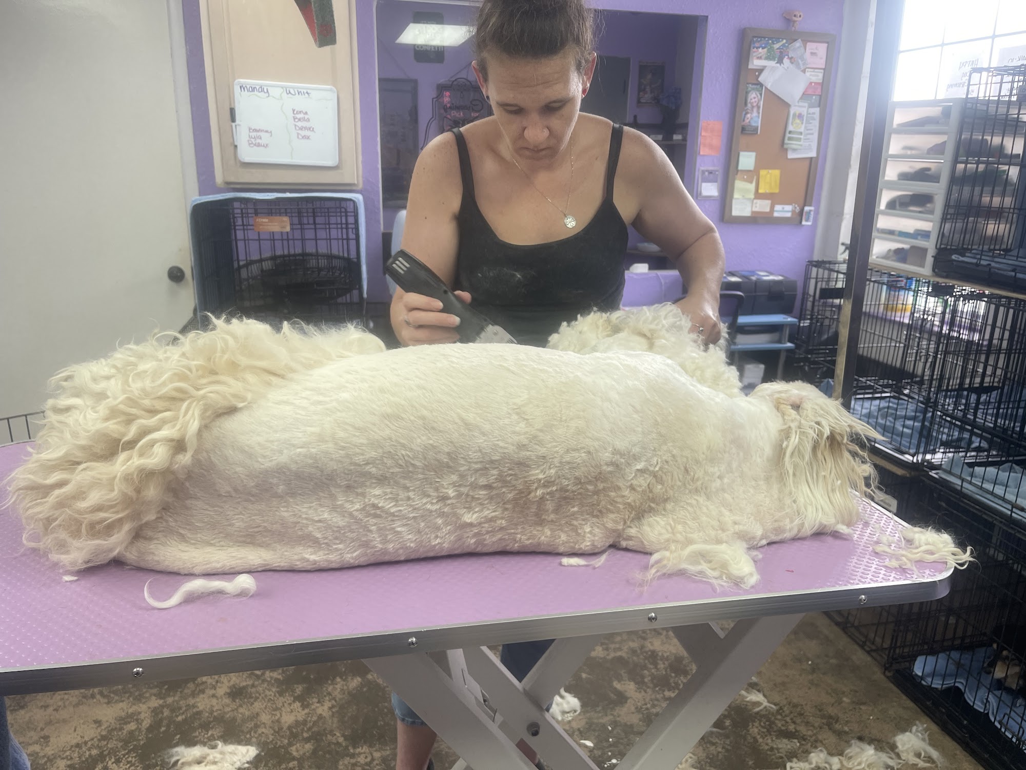 Happy Dog Grooming Liberty Hill