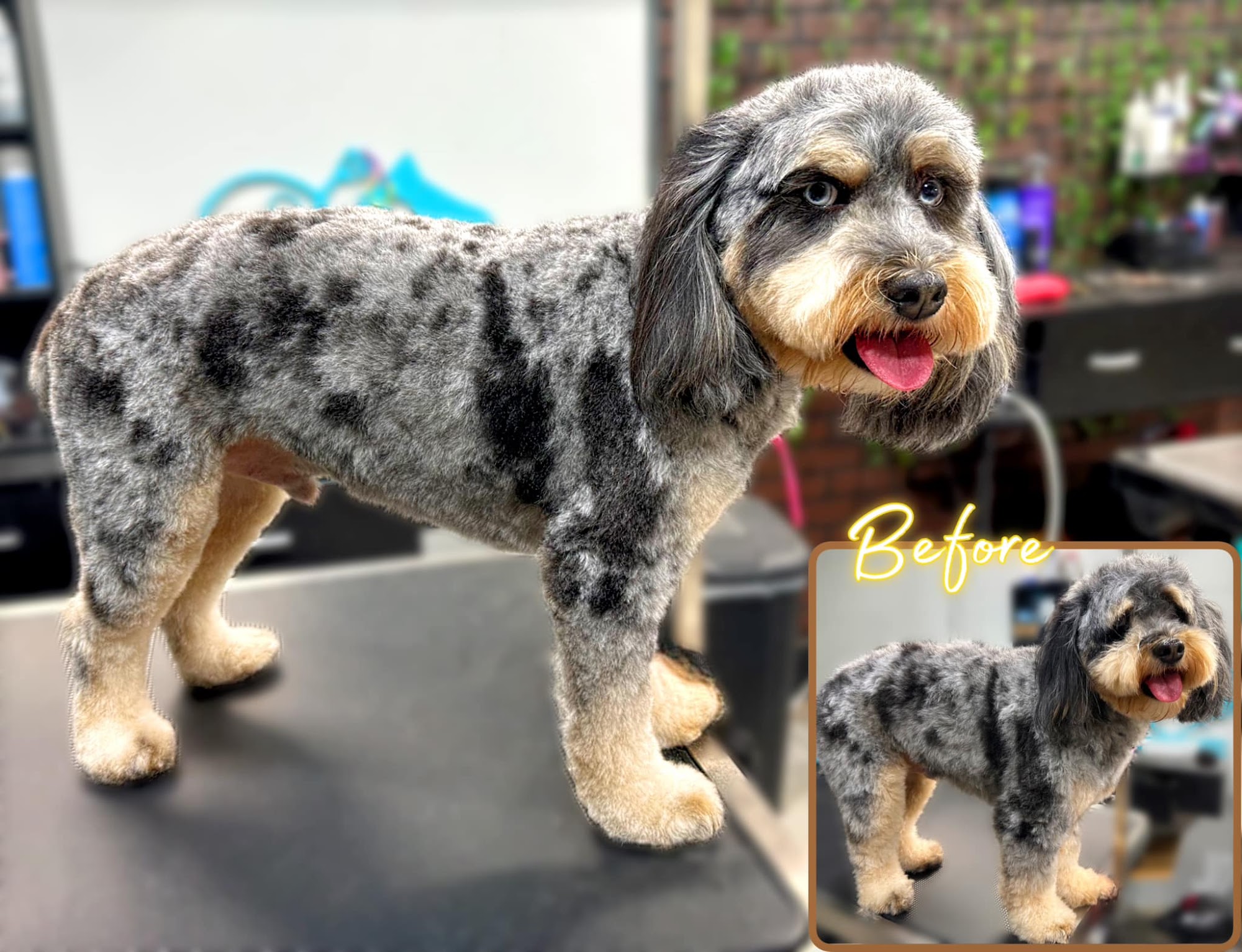 Fuzzie Butts Spa and Day Care Lindale