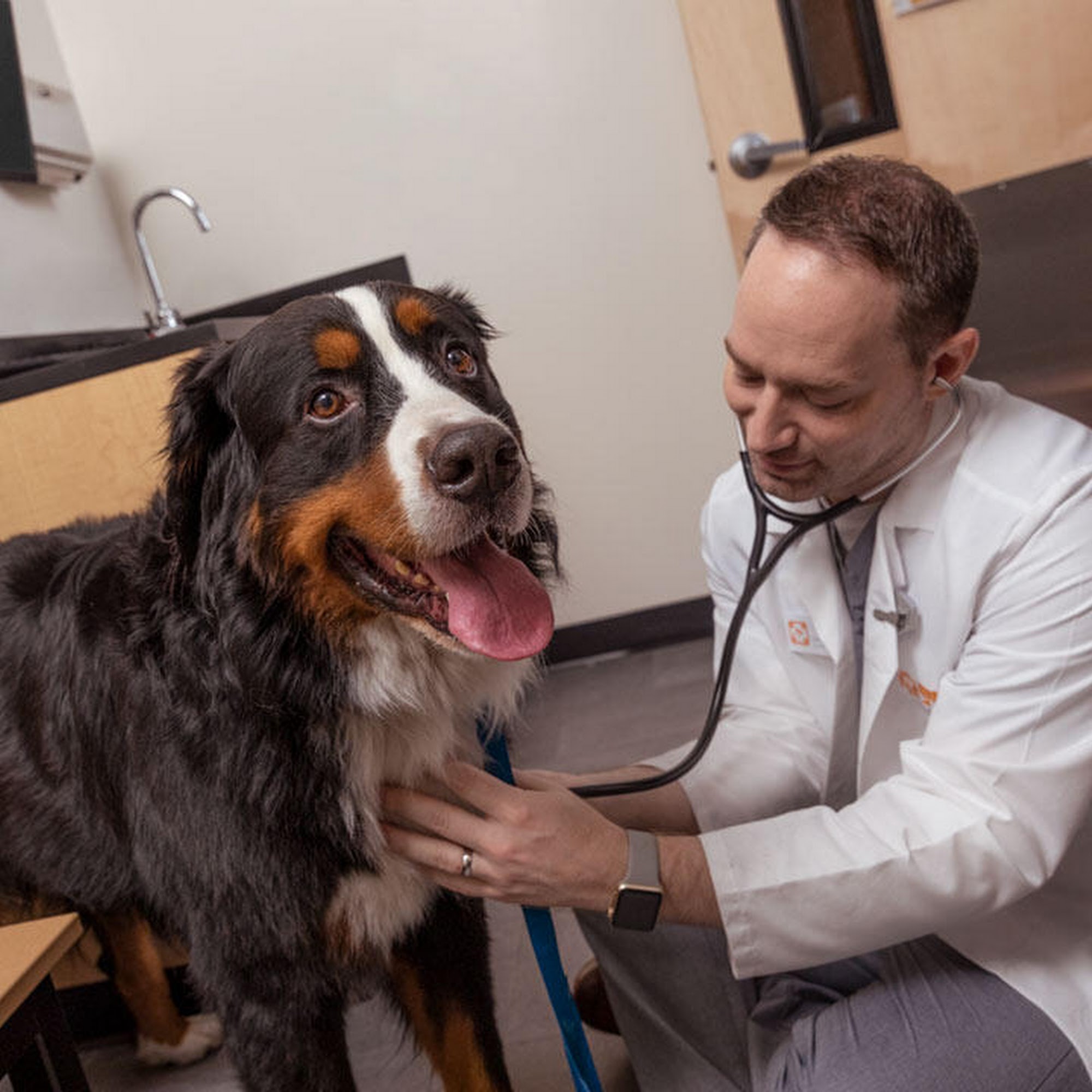 Banfield Pet Hospital Little Elm