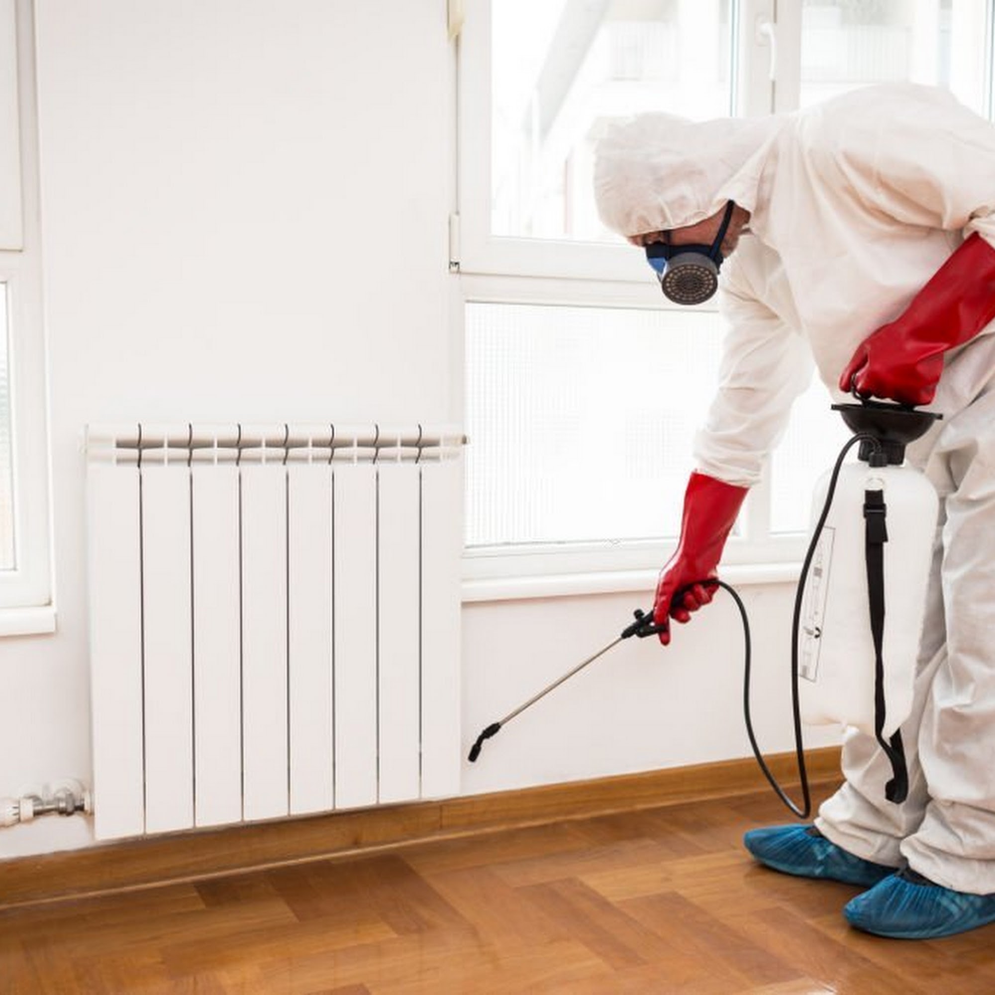Total Pest control Little Elm
