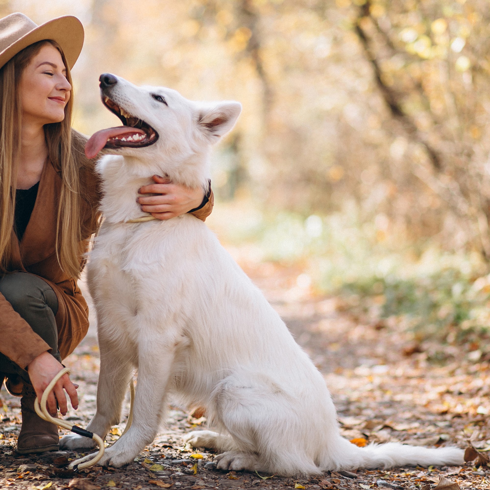 Chisholm Trail Veterinary Clinic of Lockhart Lockhart