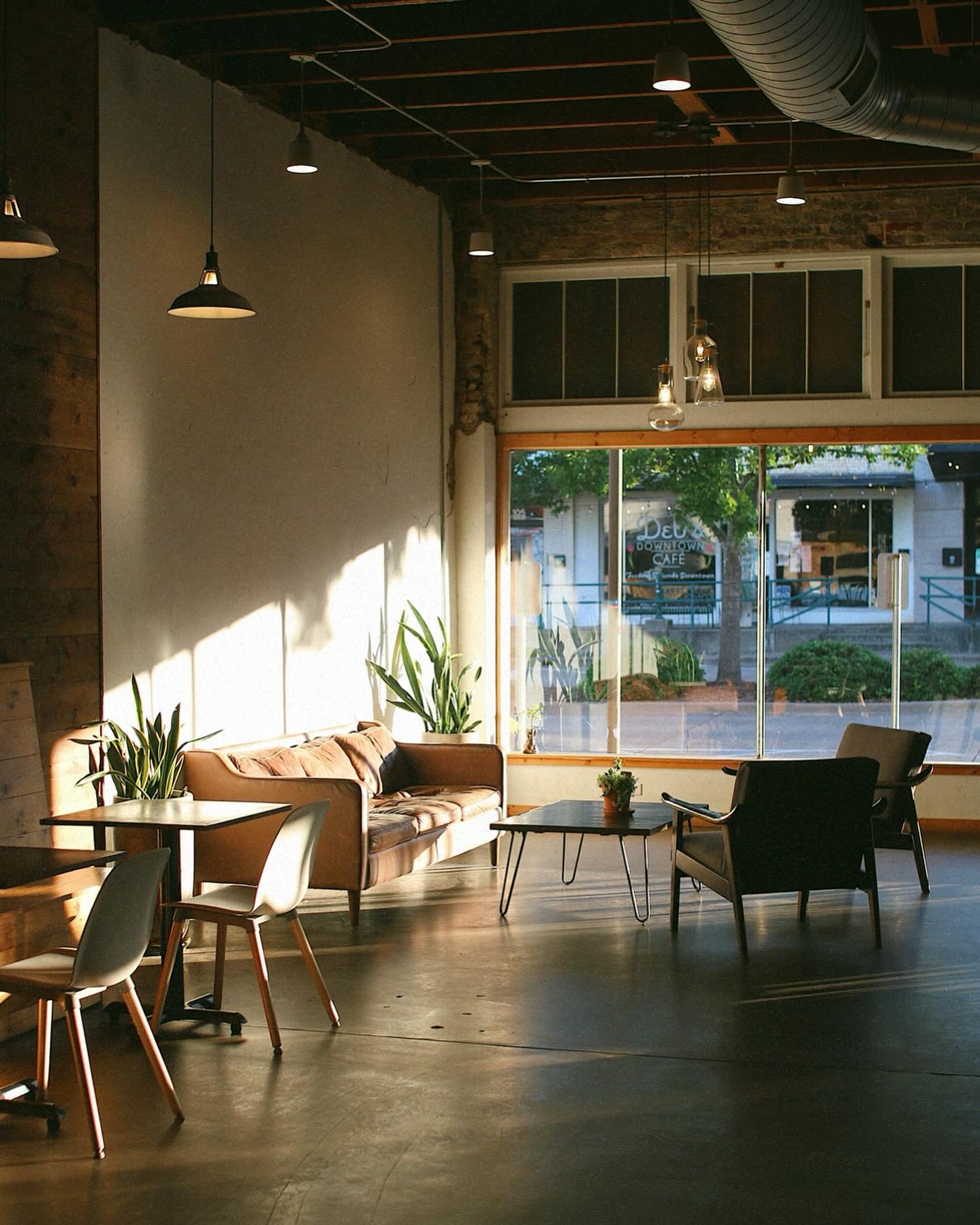 Silver Grizzly Espresso Longview