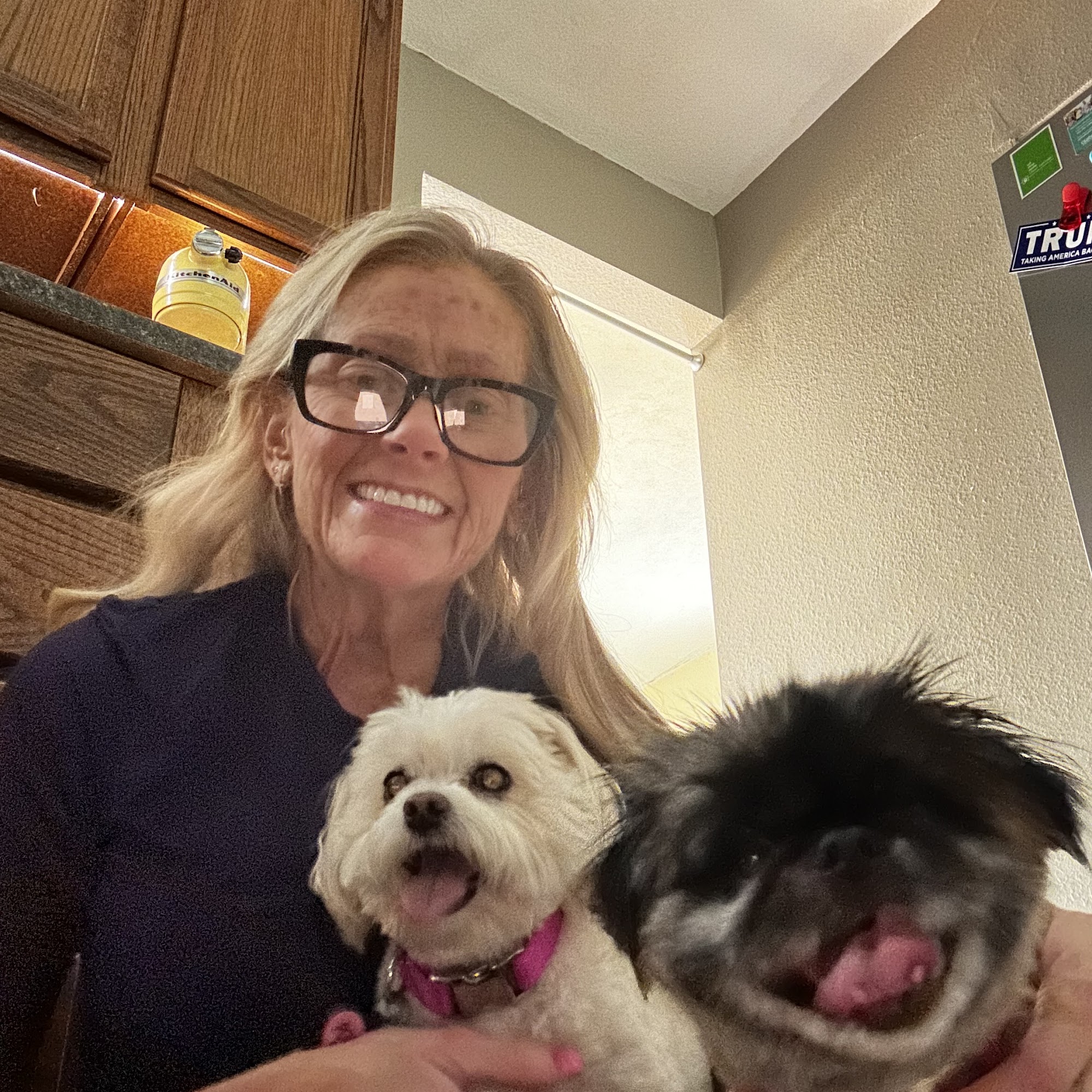 Little Animal Hospital Longview