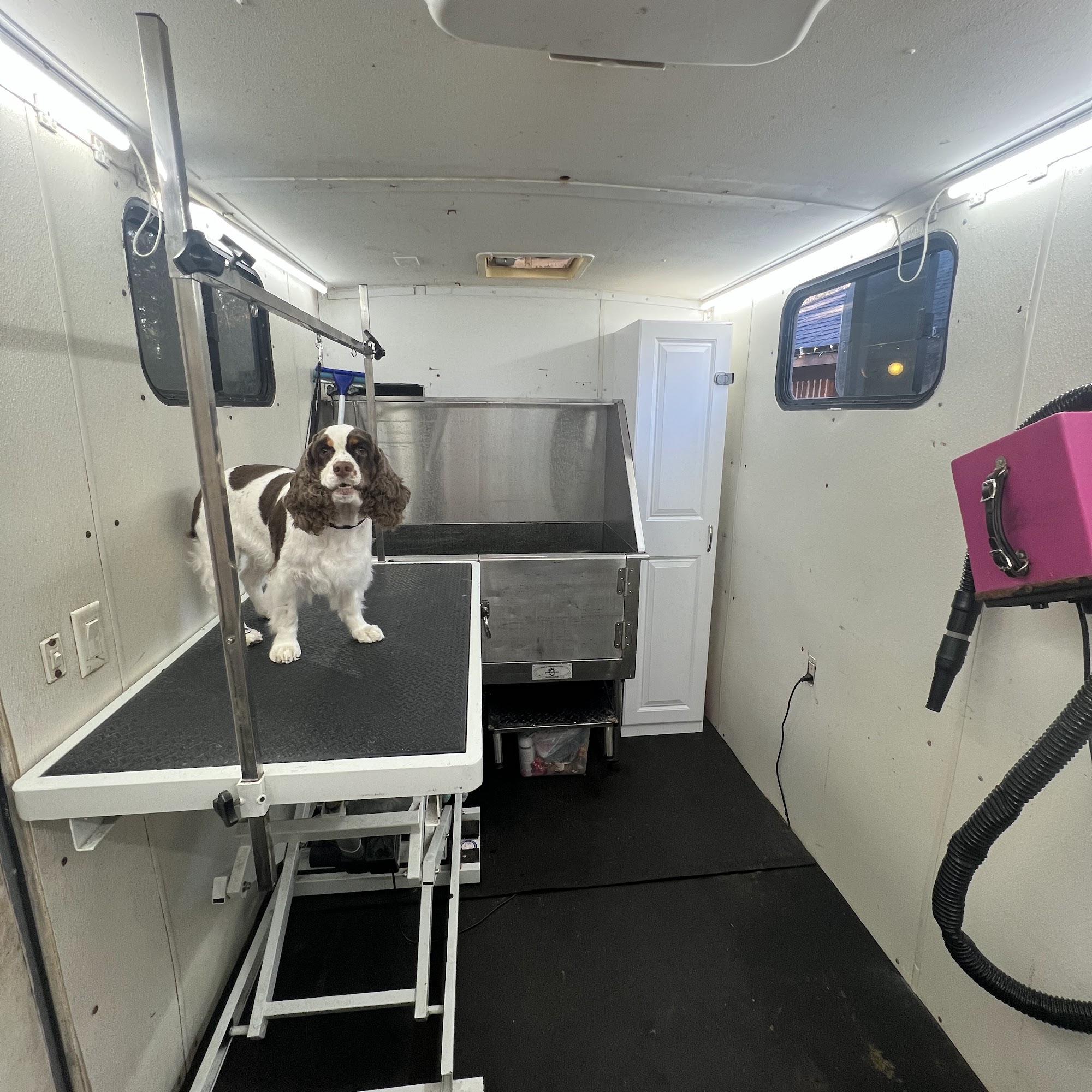 Furlicious Mobile Grooming Longview