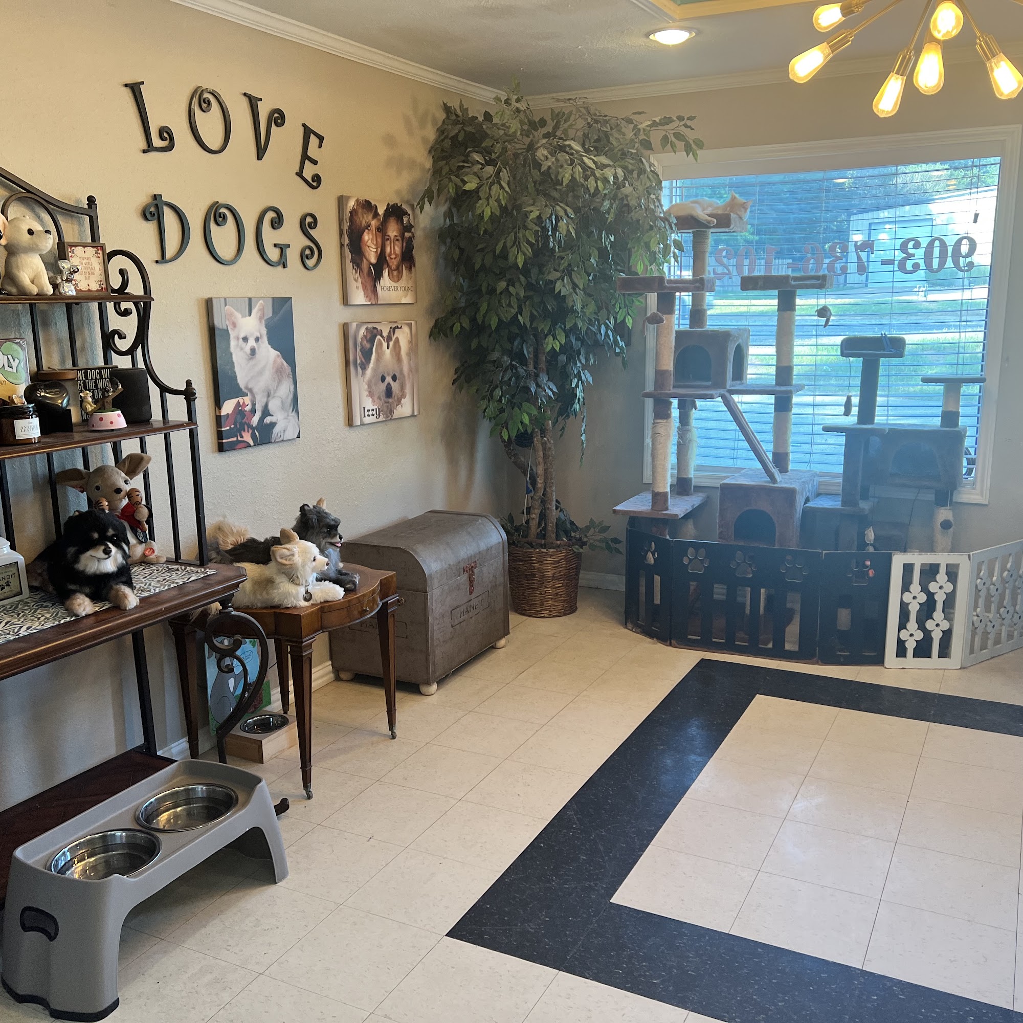 Blondie's Fancy Fur Pet Salon Longview